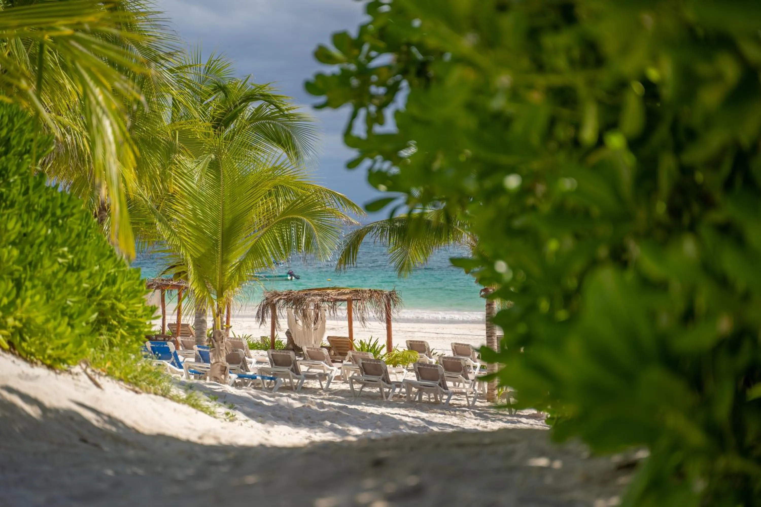 Beach in Alito Tulum Hotel