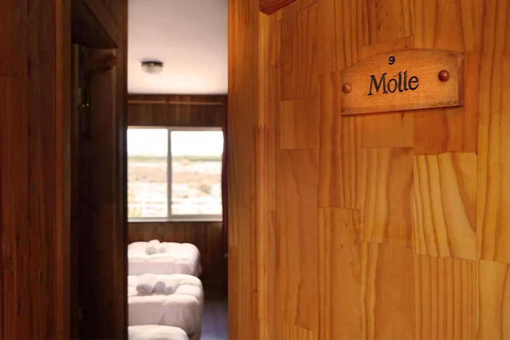 View (from property/room) in Hotel Posada del Río - Chile Chico