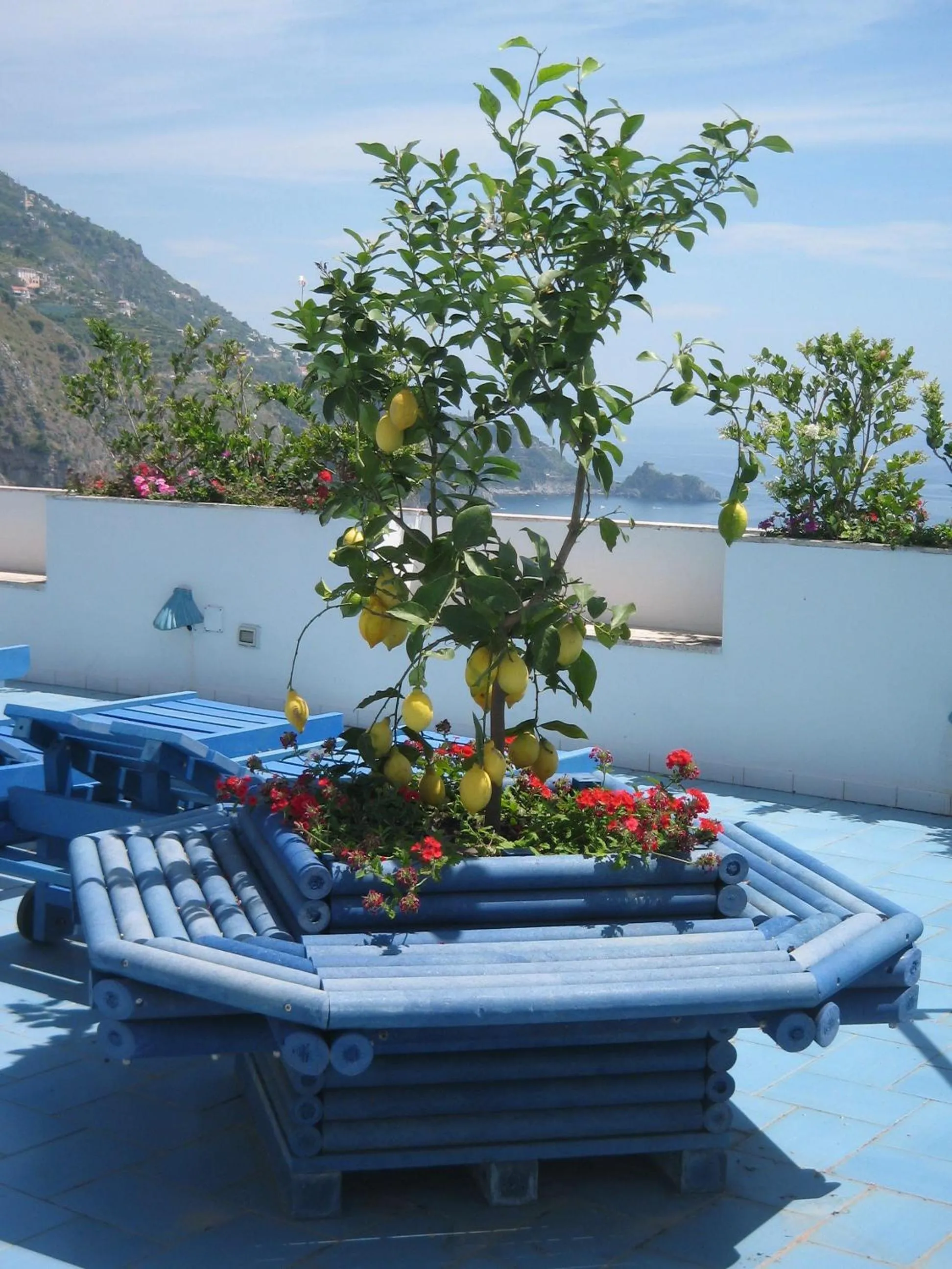 Balcony/Terrace in Hotel Holiday