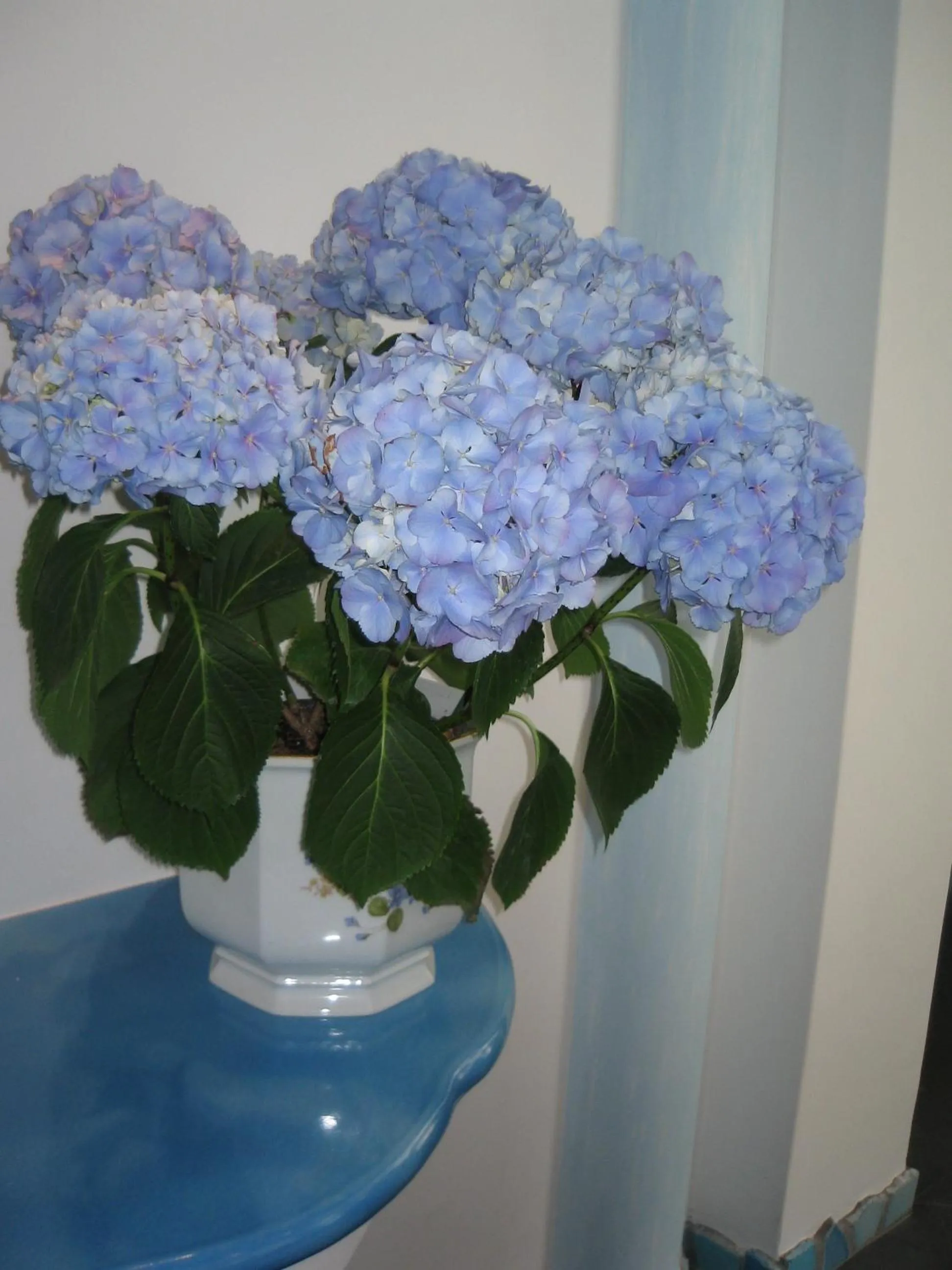 Decorative detail in Hotel Holiday