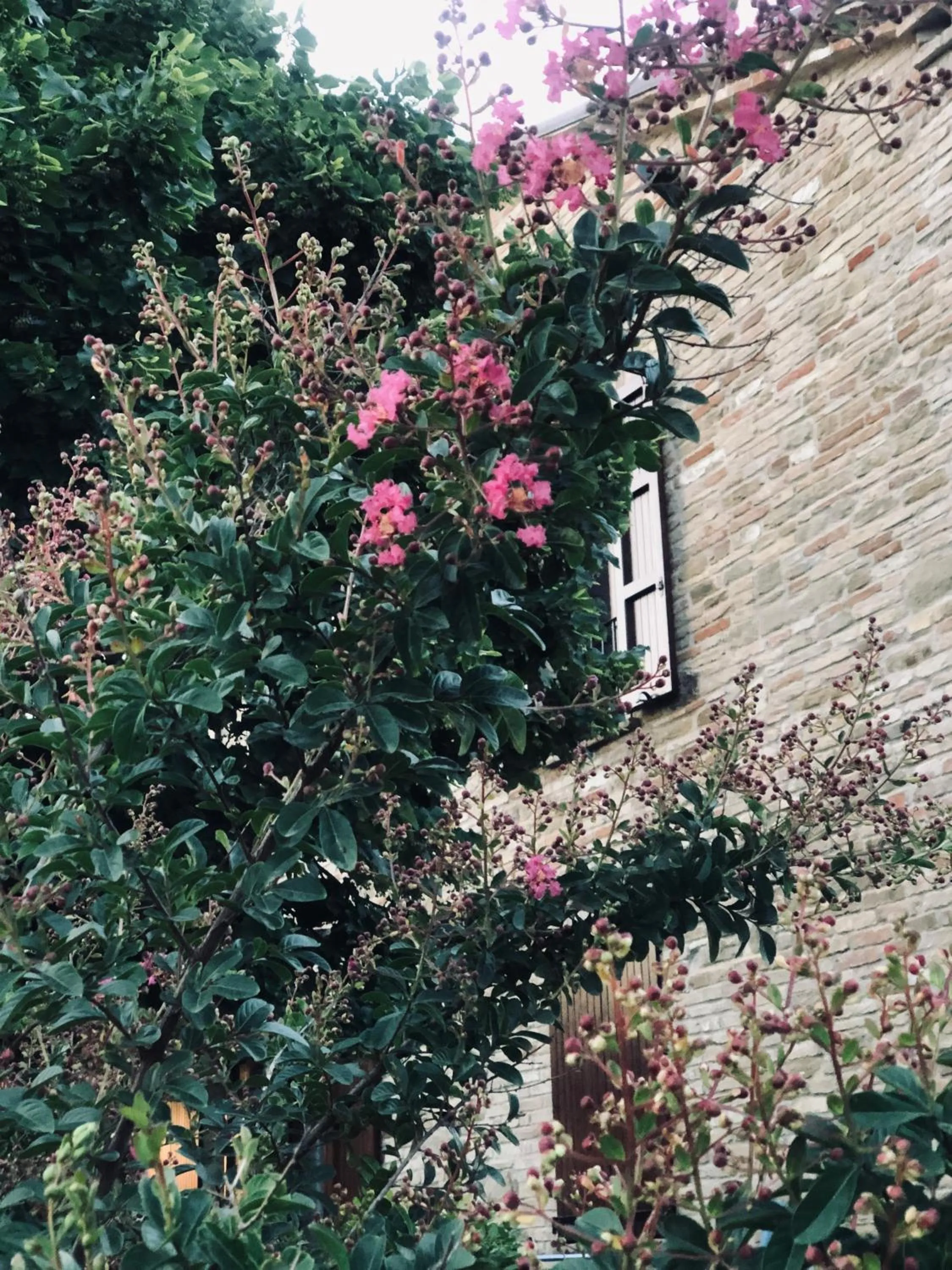 Property building in Villa Bella Rosa