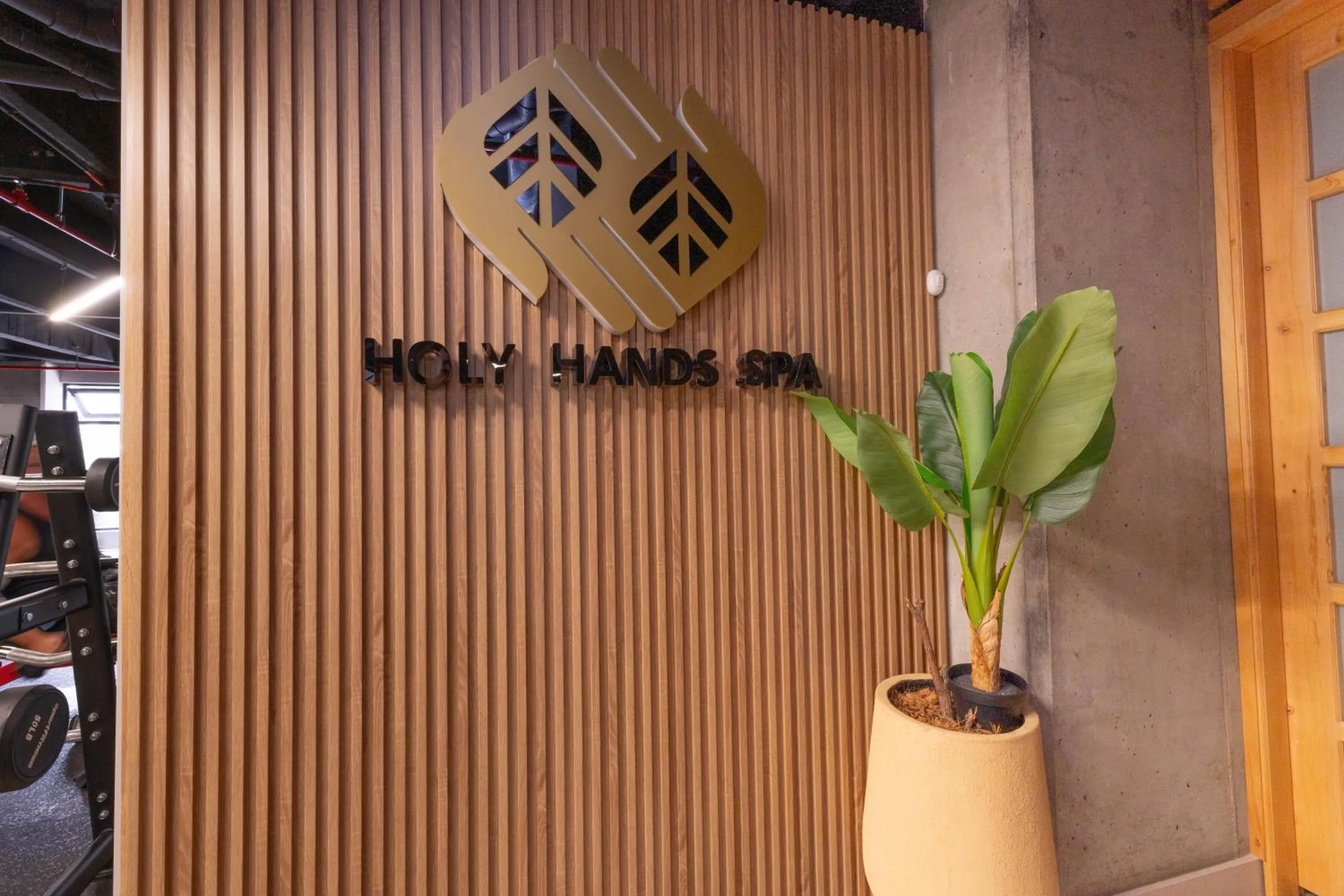 Spa and wellness centre/facilities in Apartamentos Go Living & Suites by HOUSY HOST