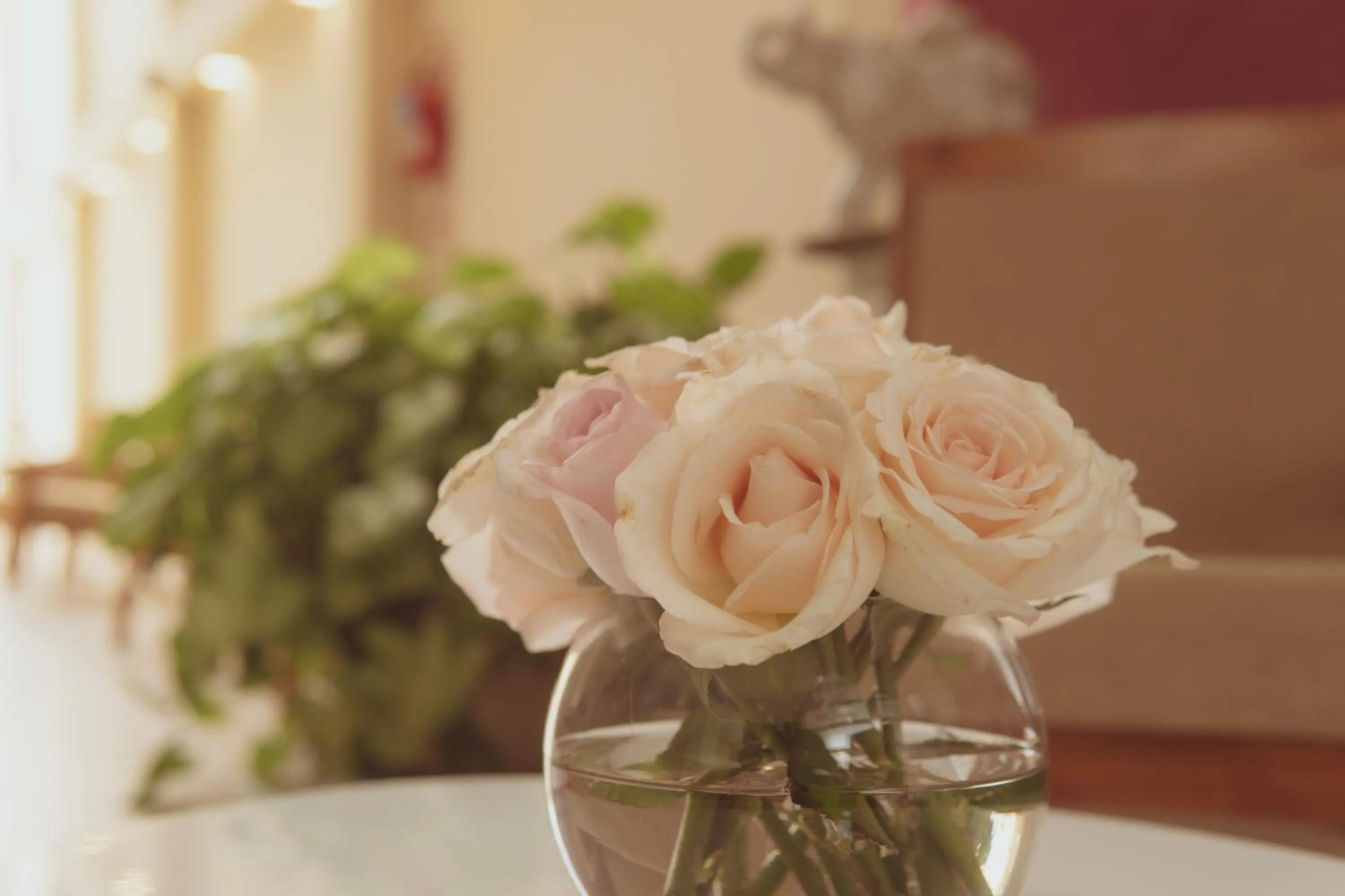 Decorative detail in Hotel Tonight