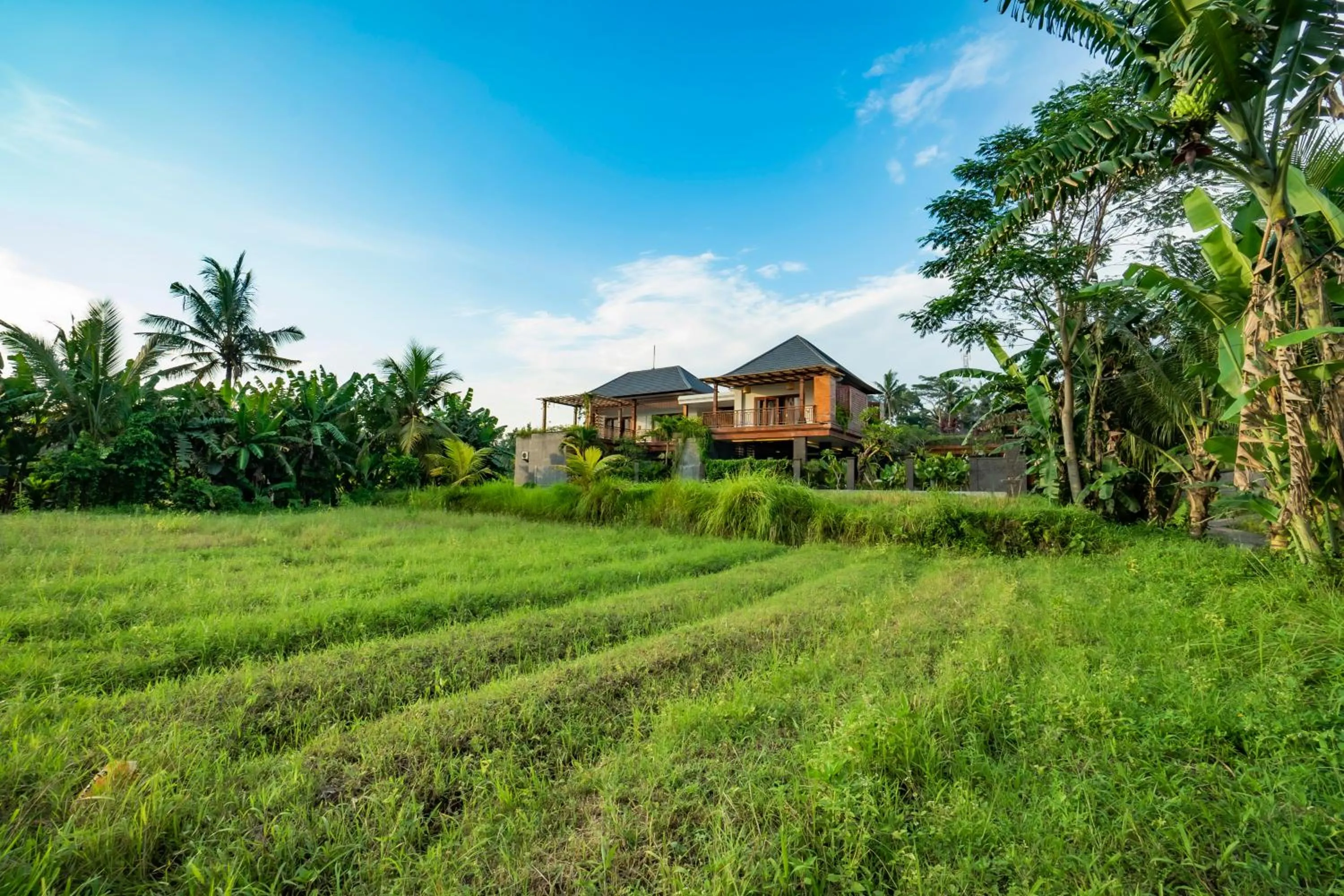 Property building in Uma Shanti Villa by Mahaputra