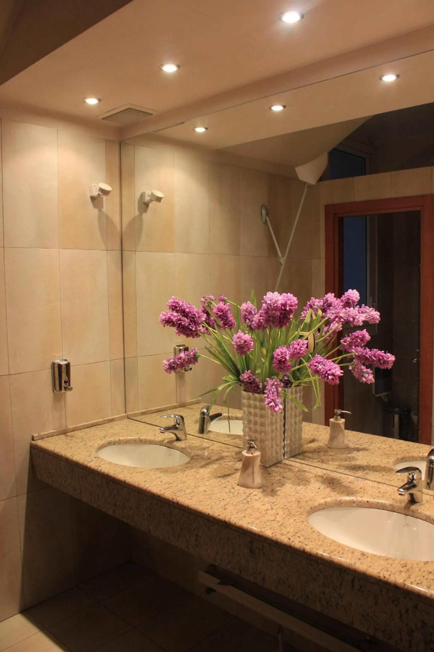 Bathroom in Hotel Terminal