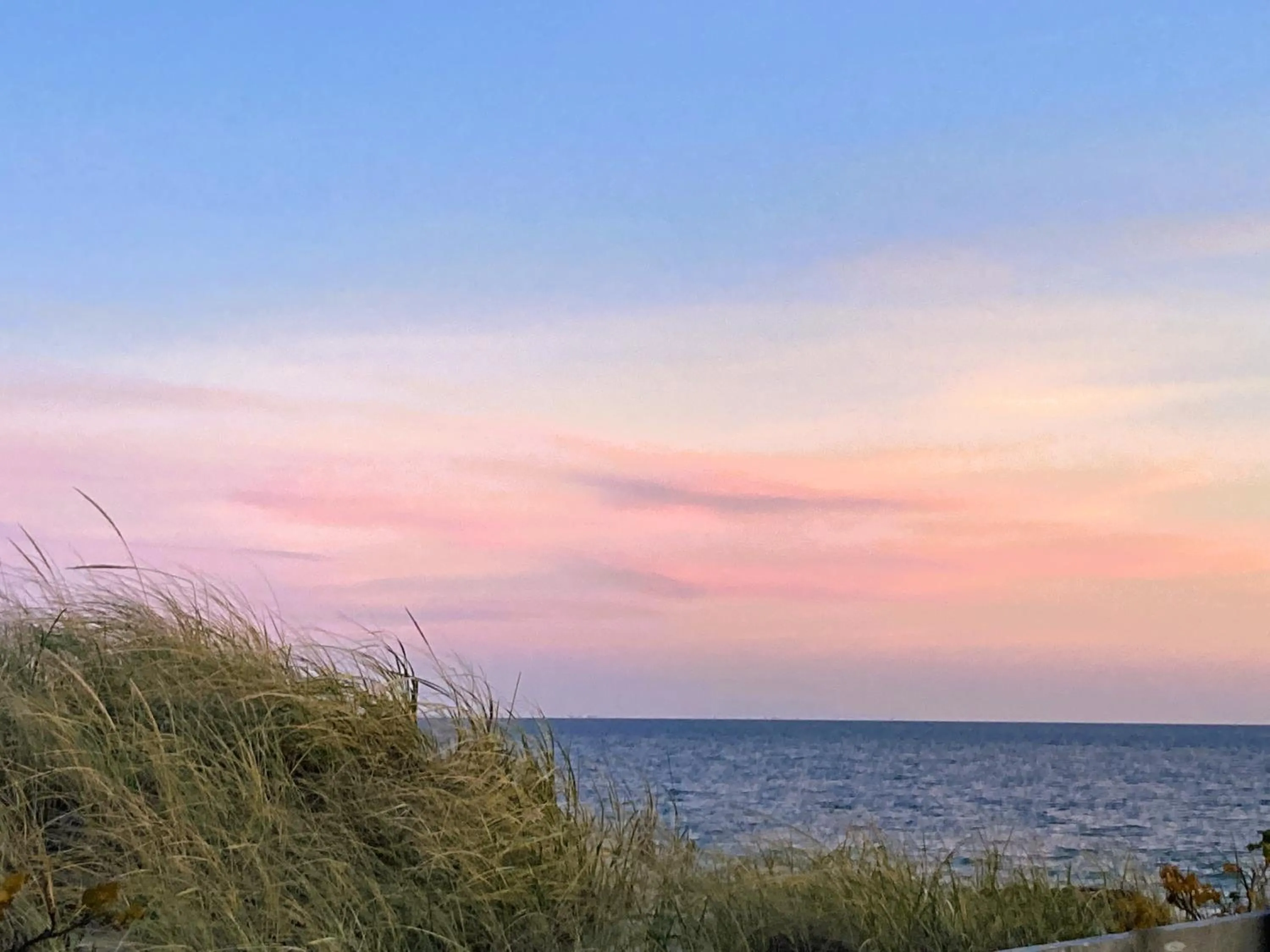 Natural landscape in Seashell Motel