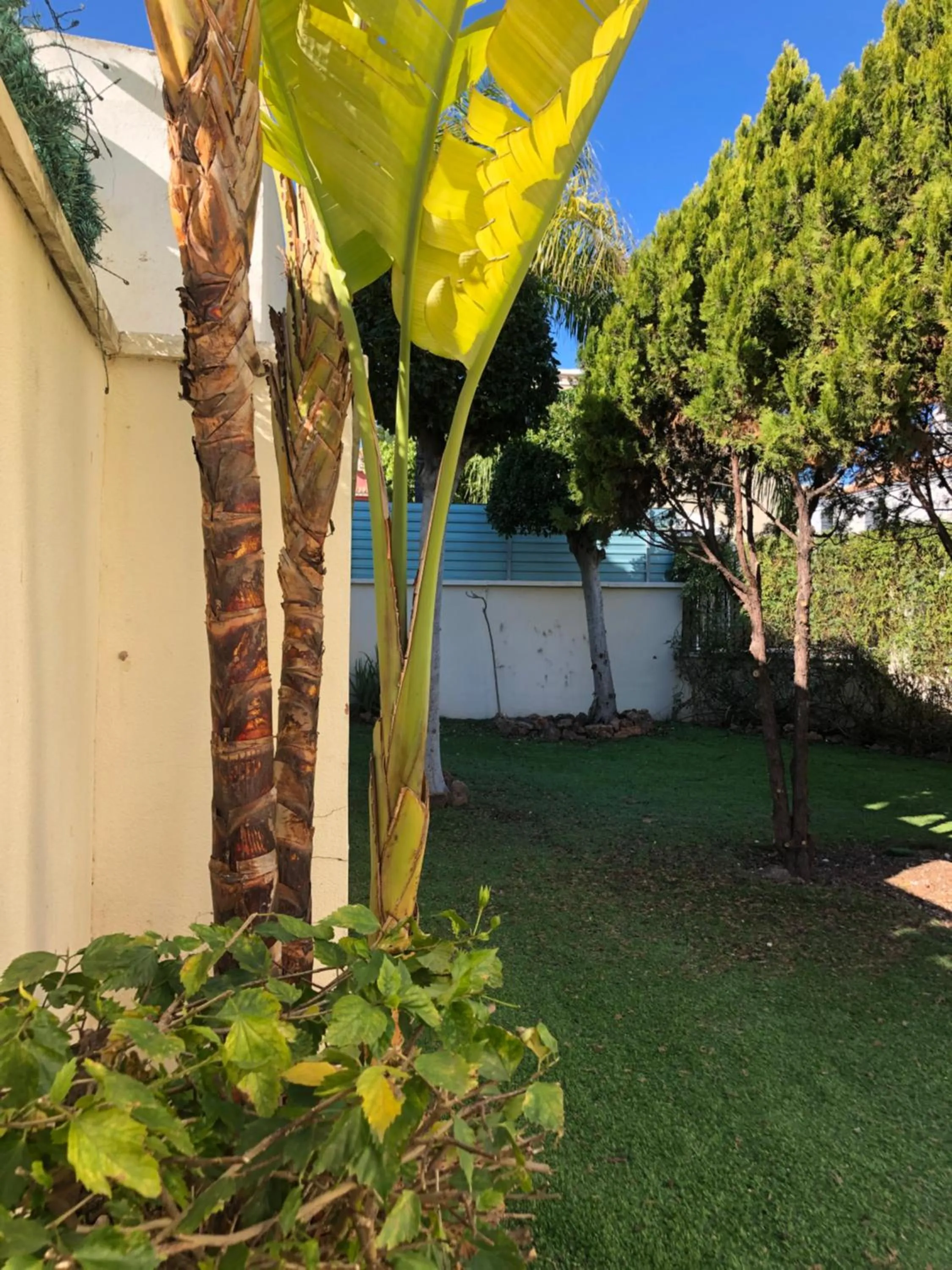 Garden in VILLA BONITA