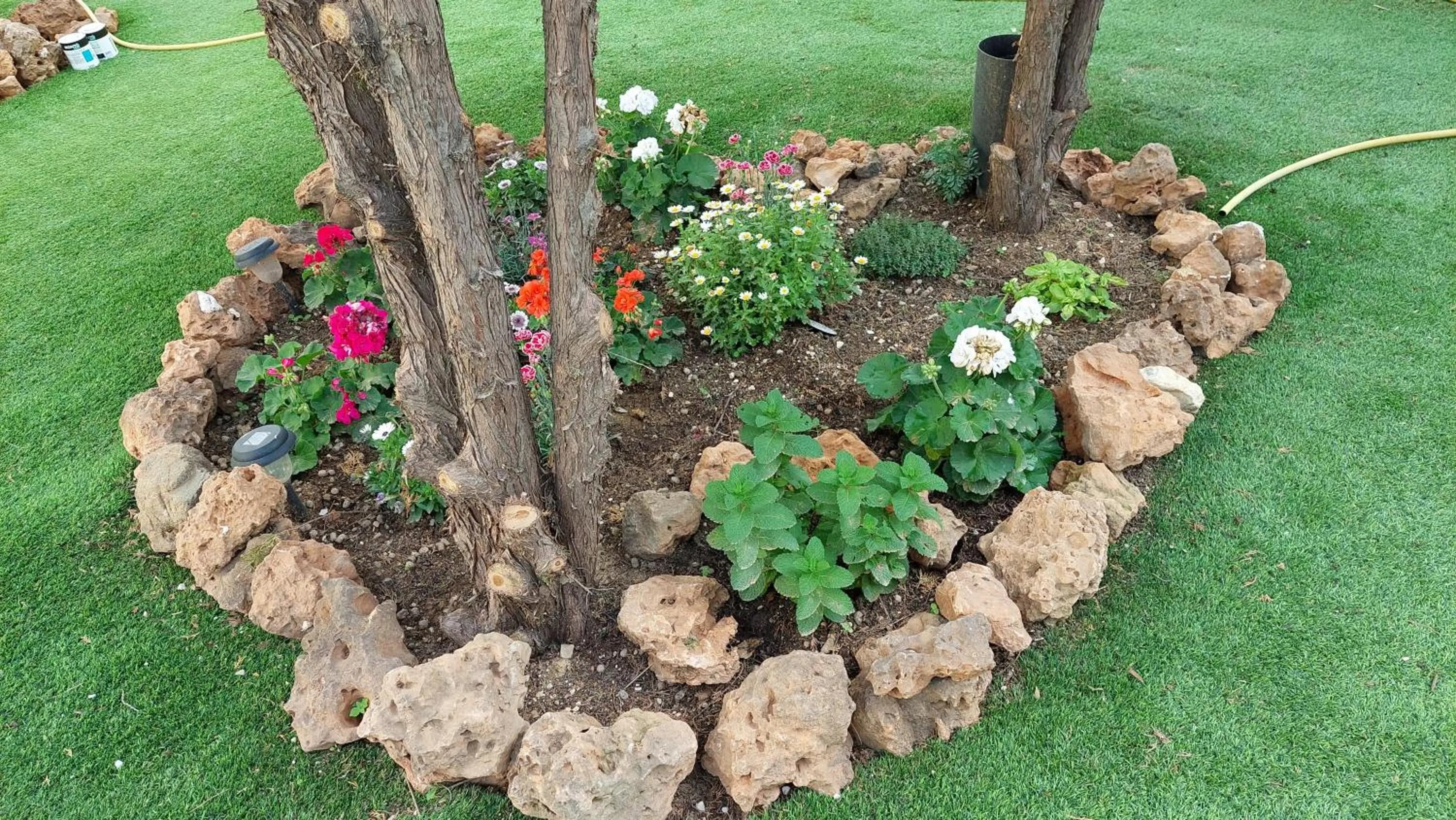 Garden in VILLA BONITA