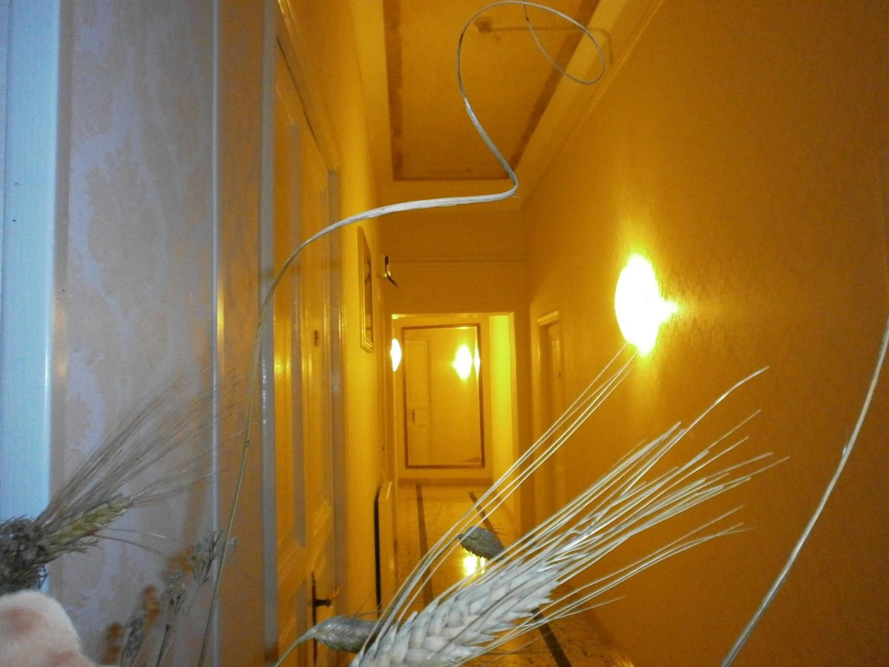 Decorative detail in Hotel Texas