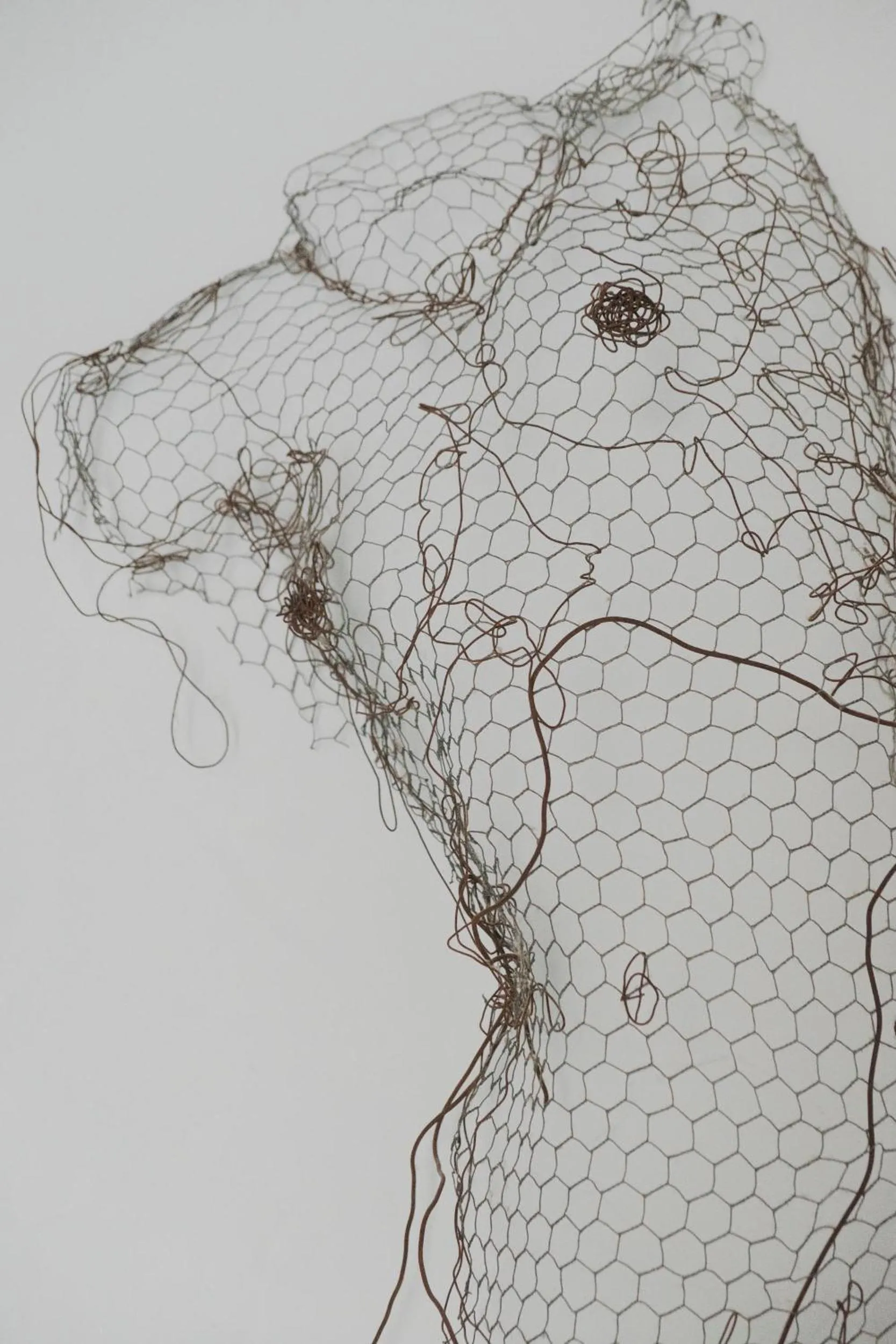 Decorative detail in Ca' Pozzo Inn