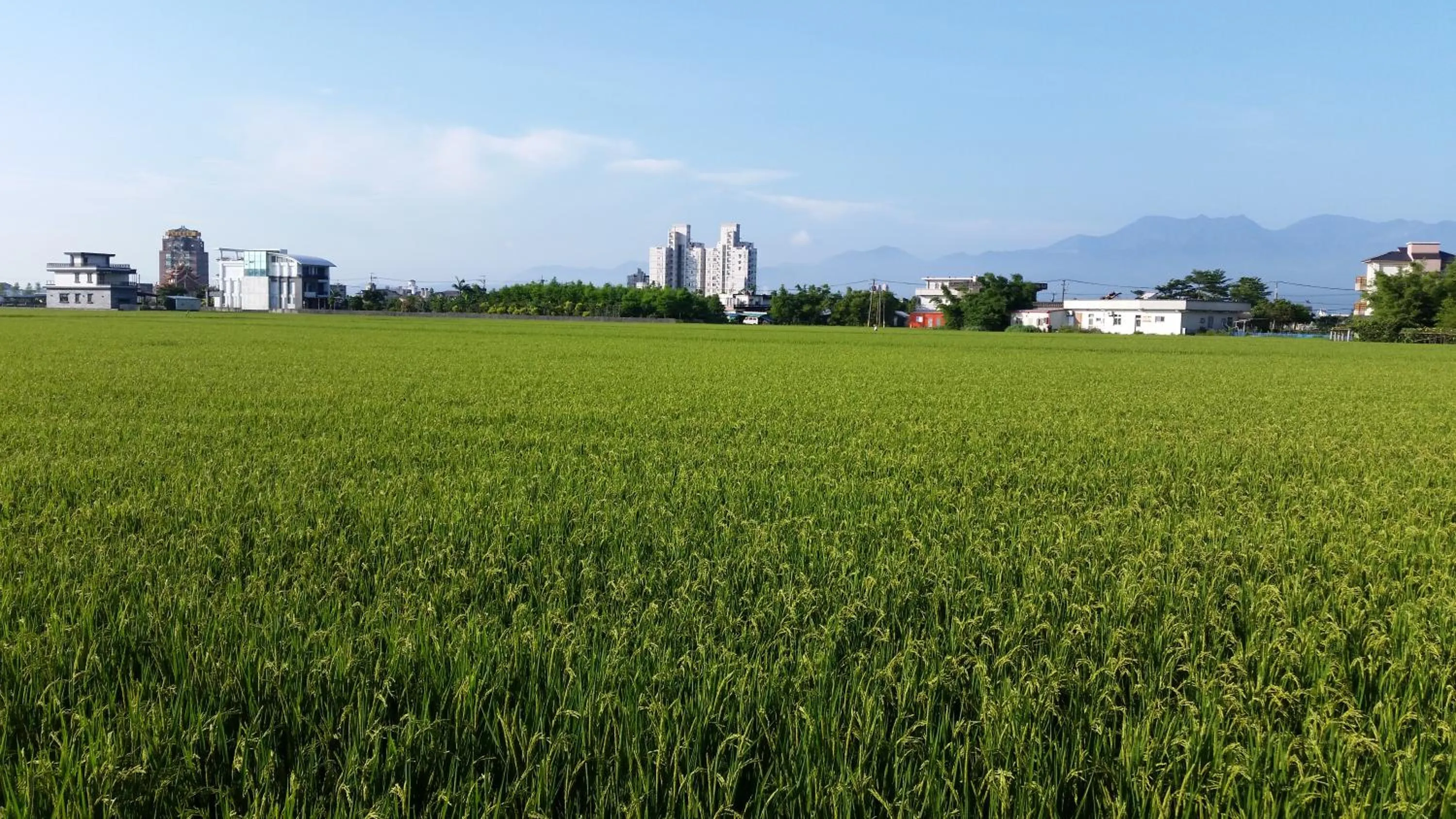 Day in Yilan Xiang Feng Homestay