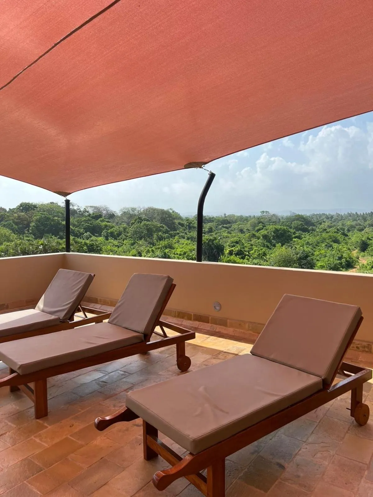 Garden in Tombo House