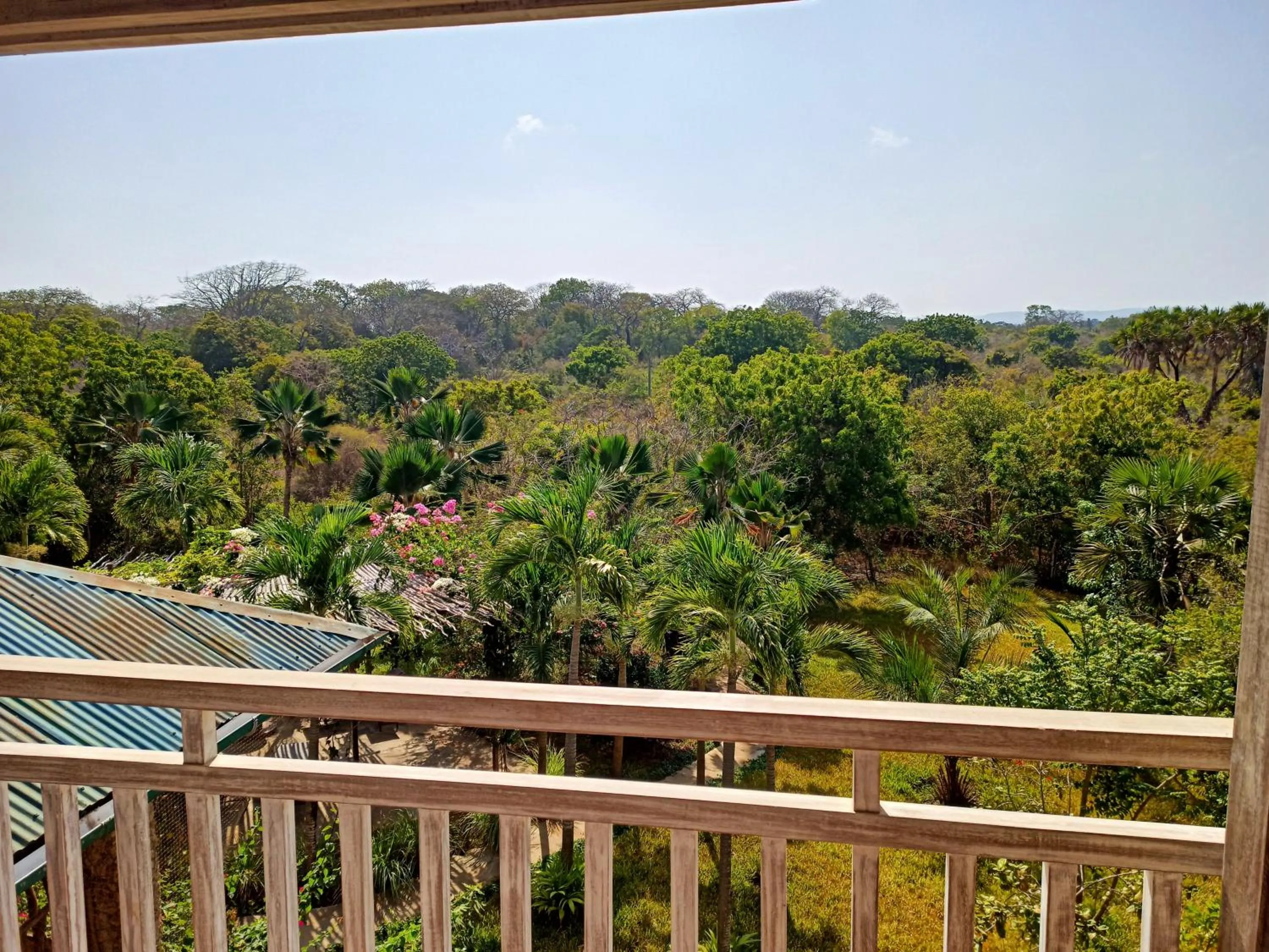 Natural landscape in Tombo House