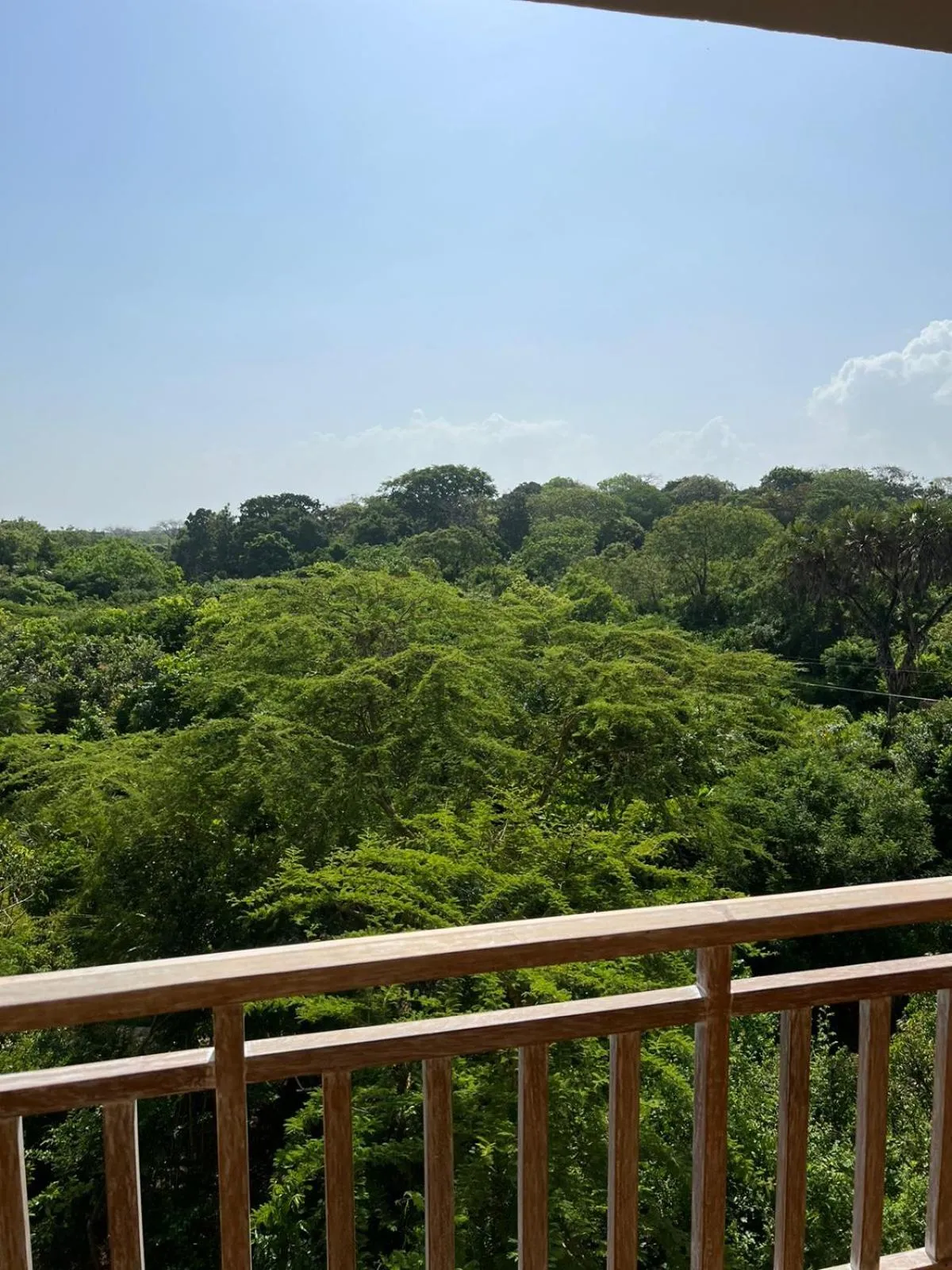 Natural landscape in Tombo House