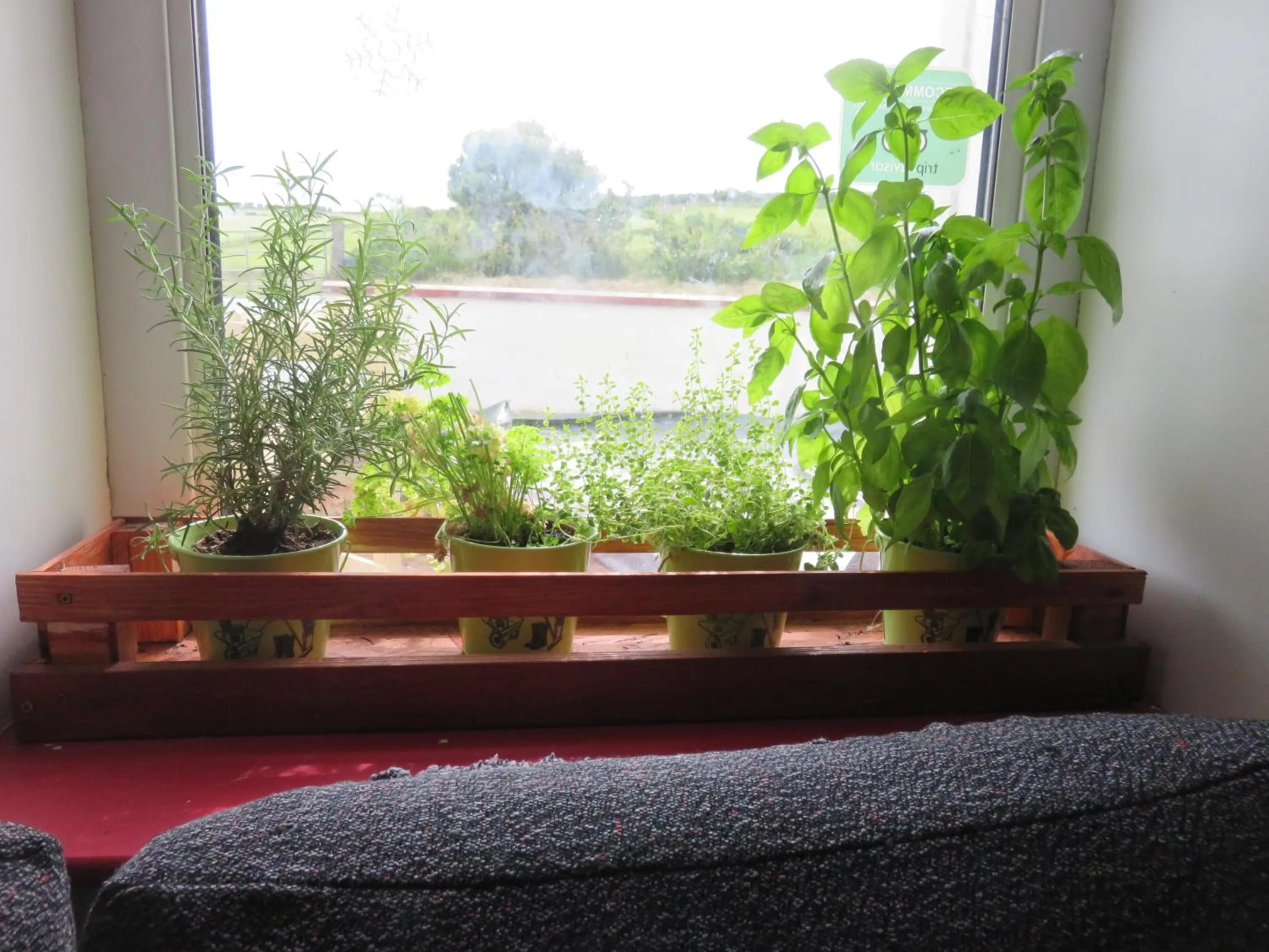 View (from property/room) in Finn McCools Giants Causeway Hostel