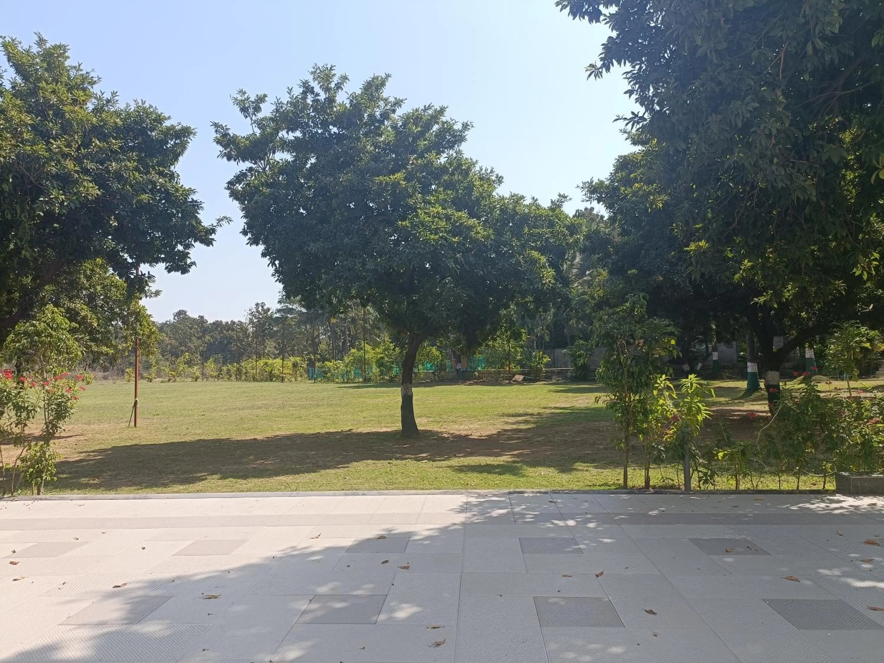 Garden in Inspira Resort