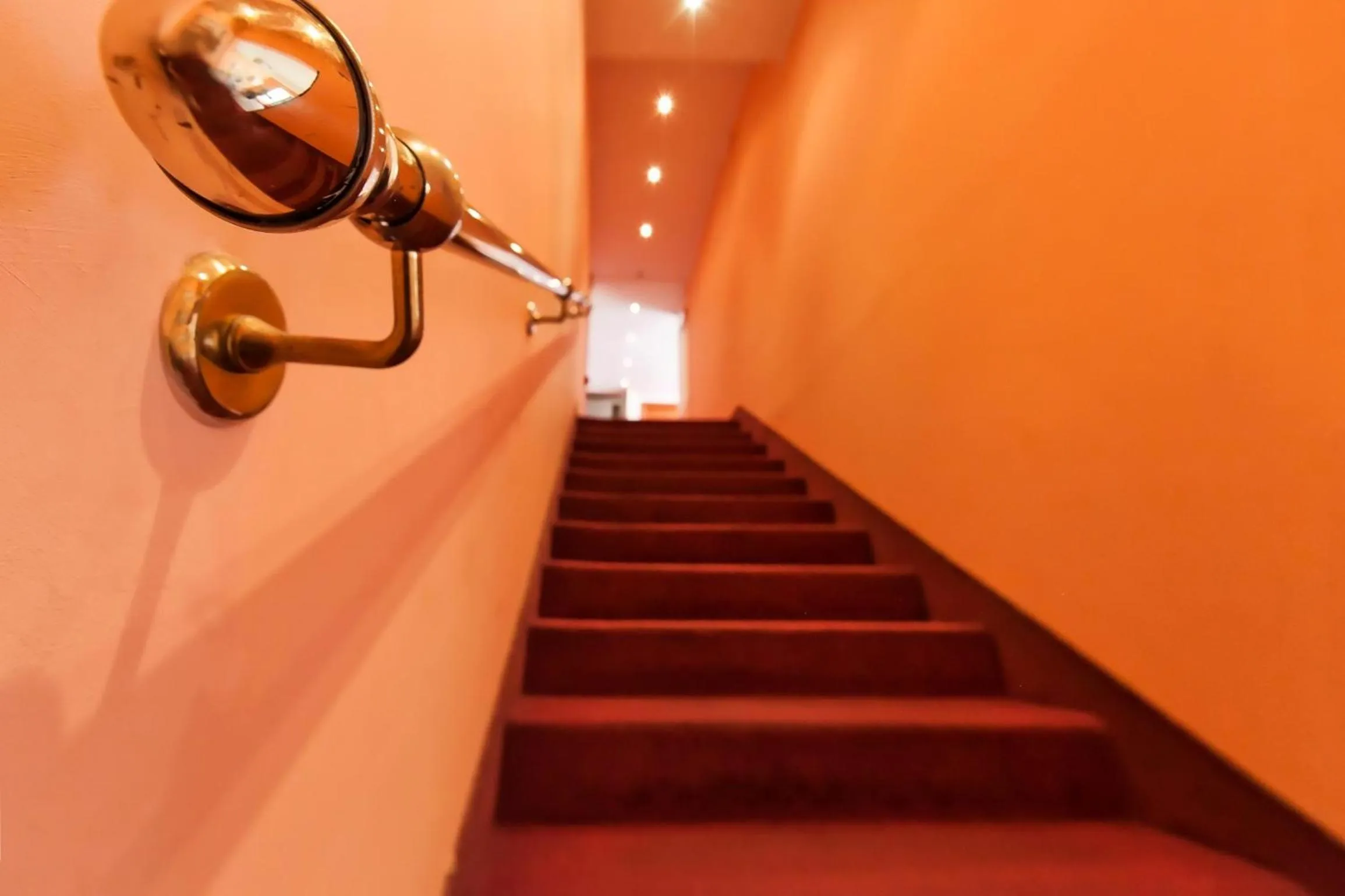 Lobby or reception, Bathroom in Hotel Kappa