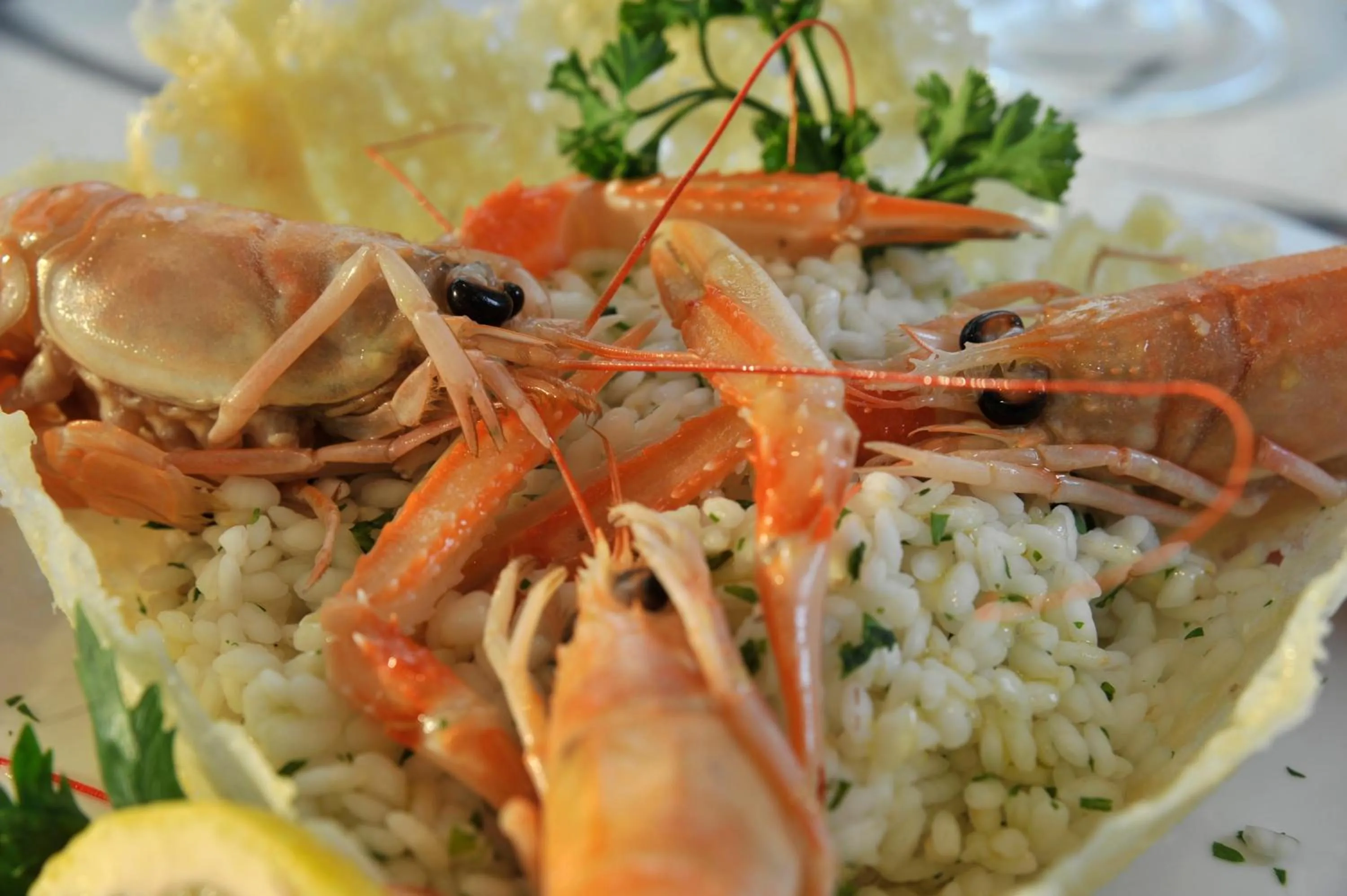 Restaurant/places to eat in Tulip Inn Padova