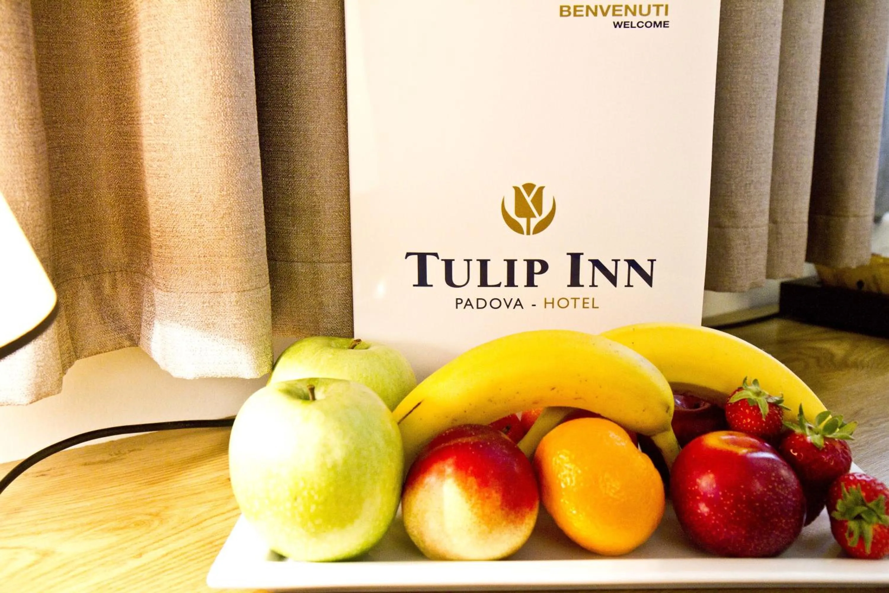 Spring in Tulip Inn Padova