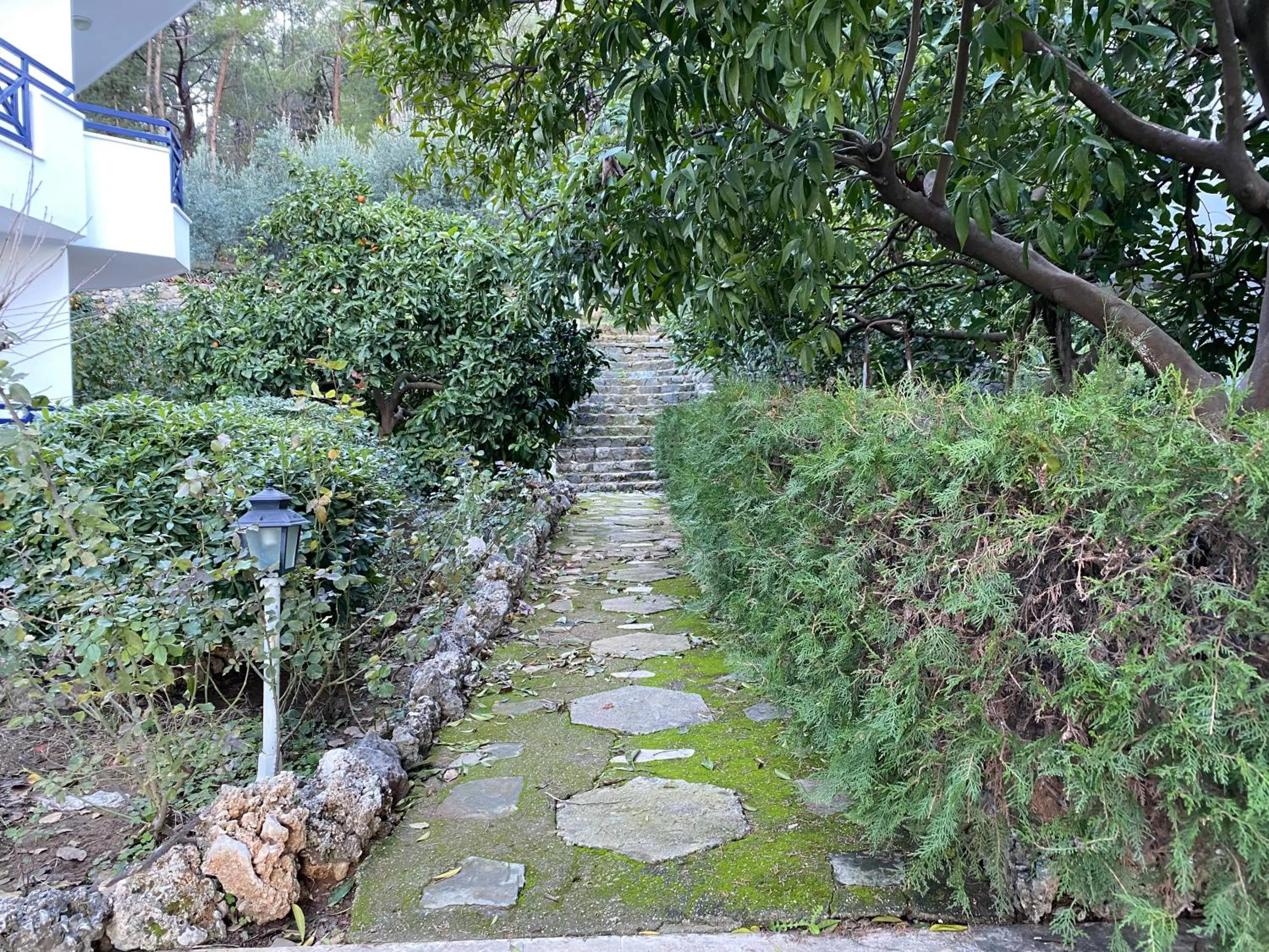 Garden in NATURELLA APART HOTEL