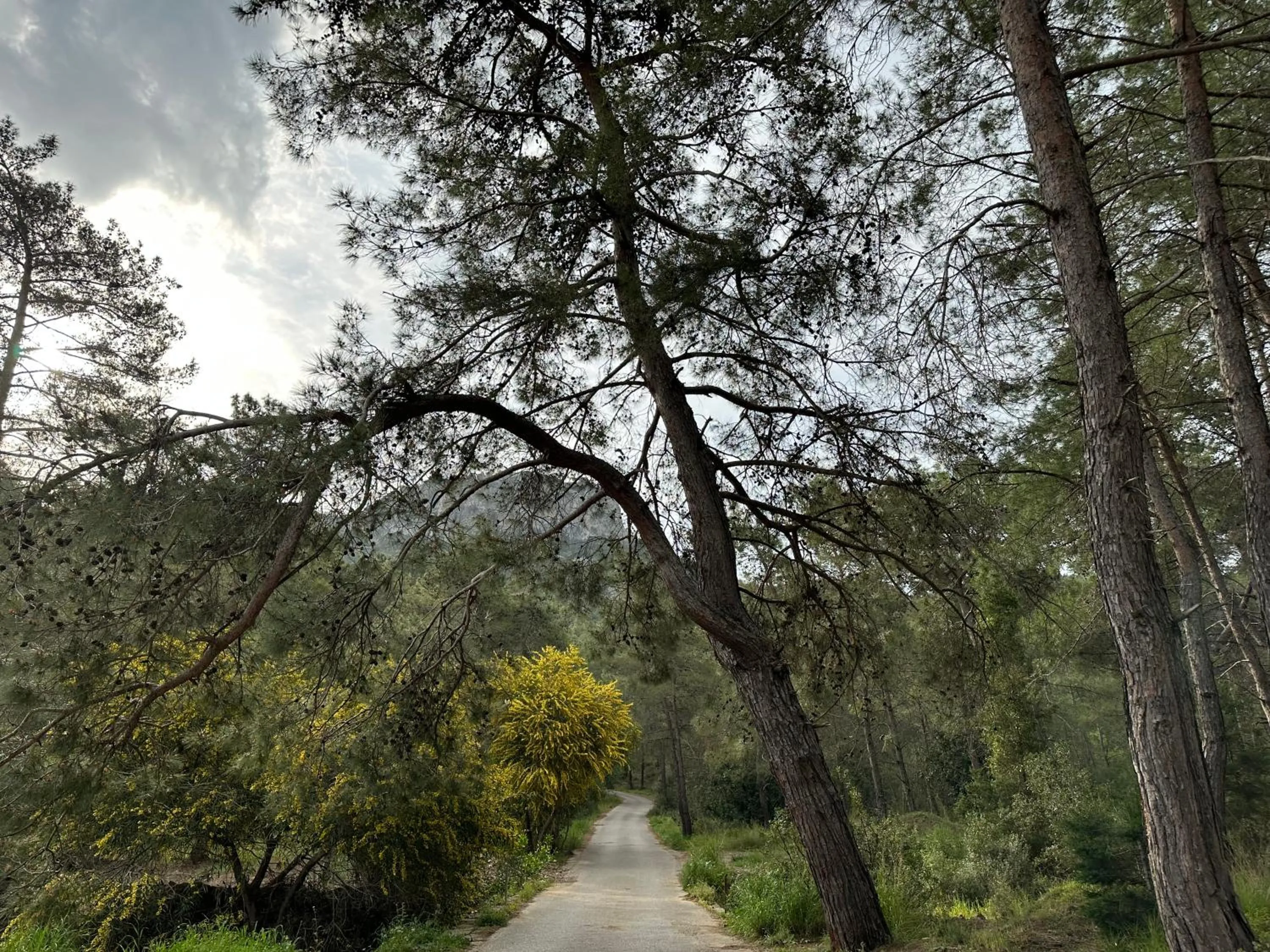 Spring in NATURELLA APART HOTEL