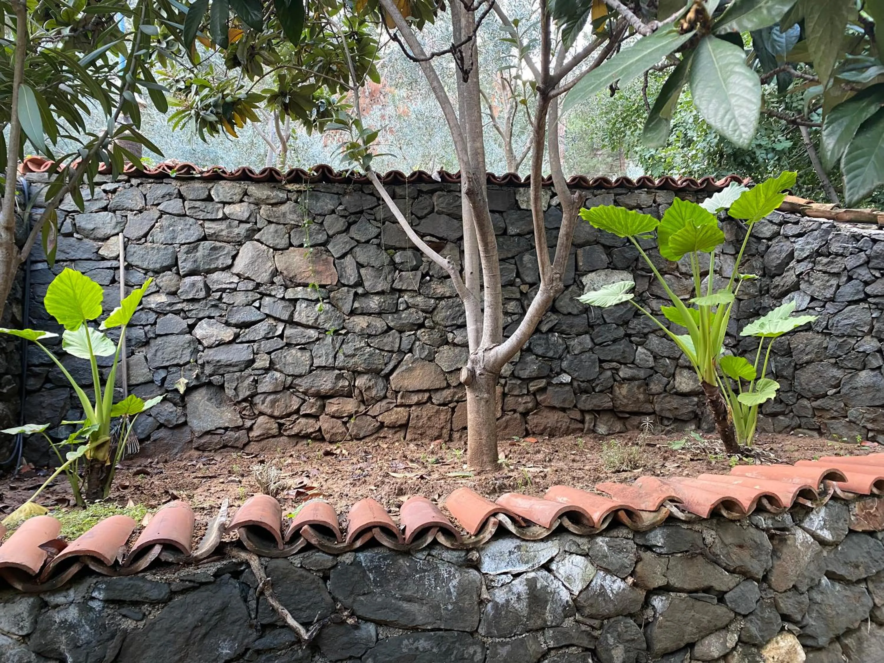 Day in NATURELLA APART HOTEL