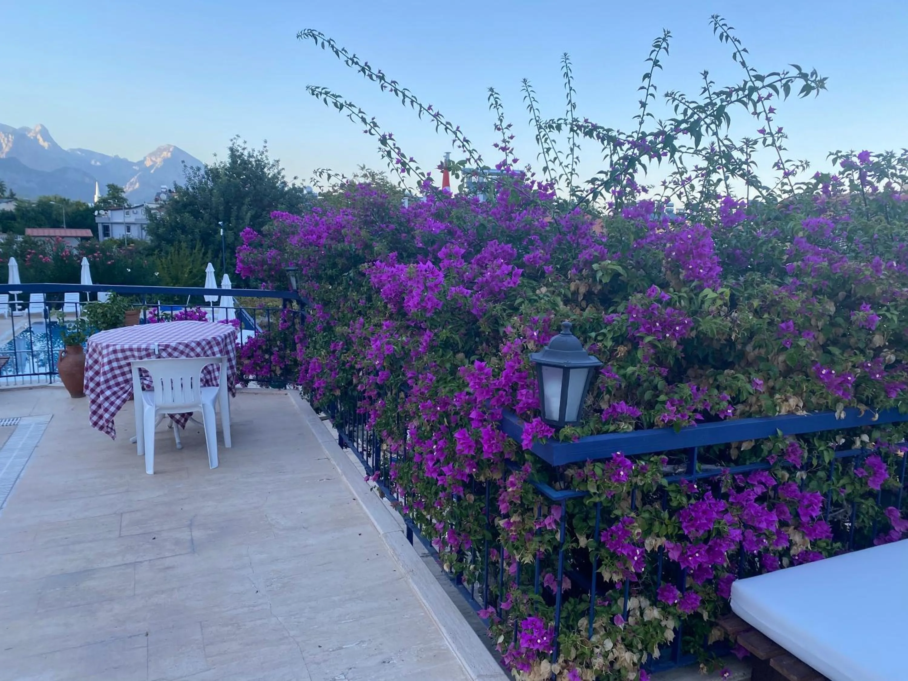 Day in NATURELLA APART HOTEL