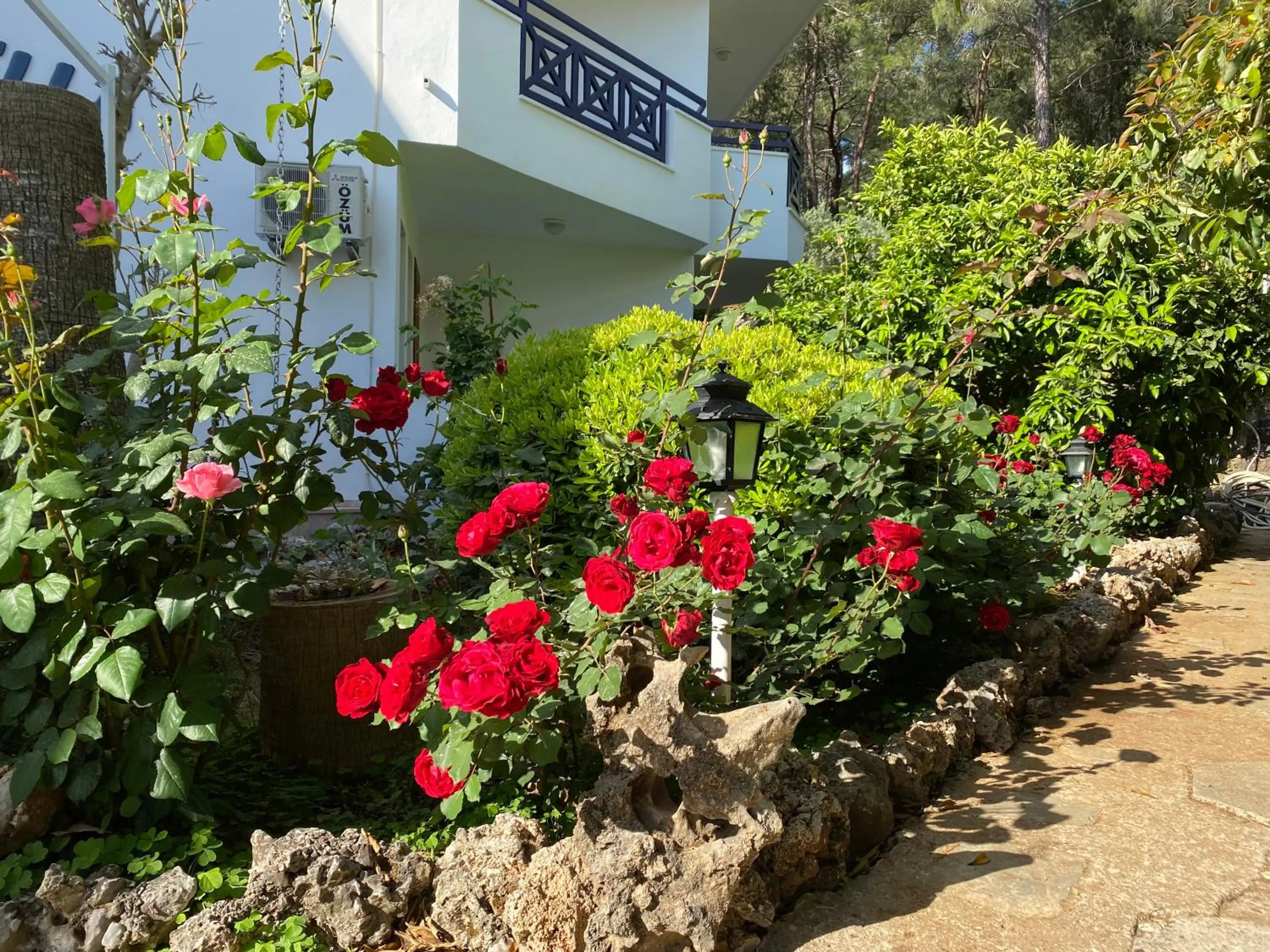 Garden in NATURELLA APART HOTEL