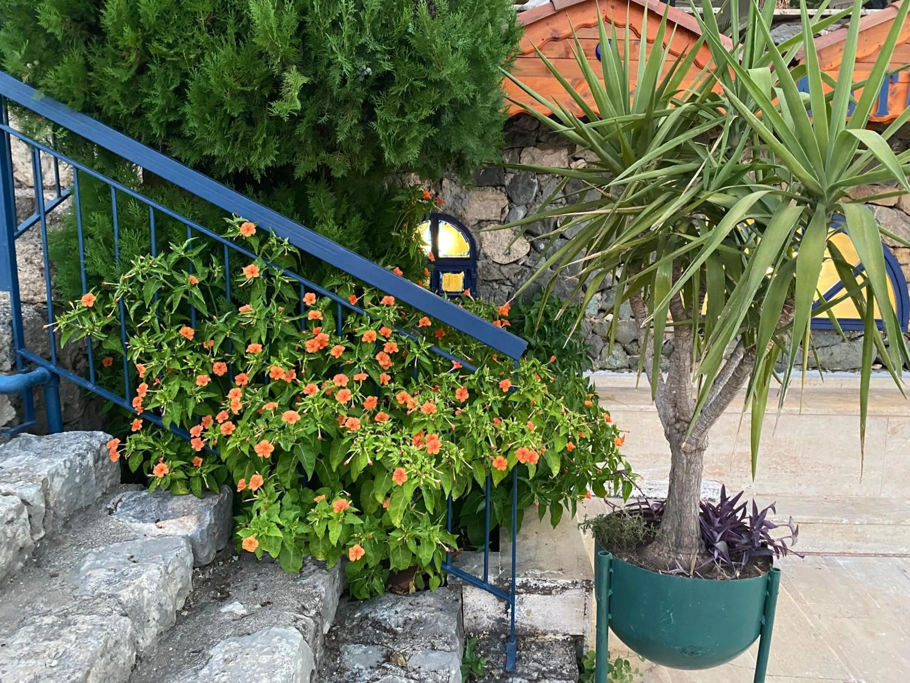 Day in NATURELLA APART HOTEL