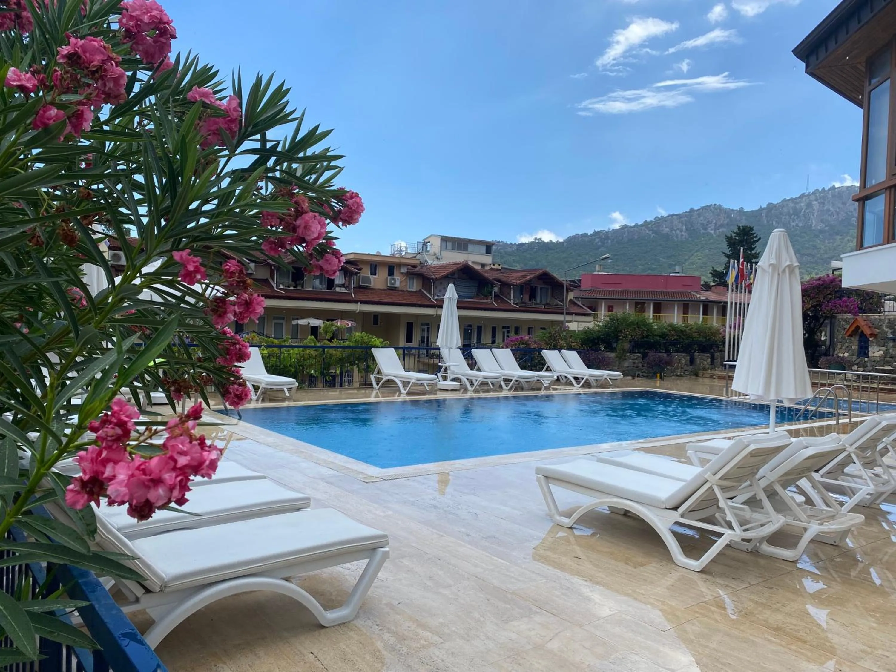 Swimming pool in NATURELLA APART HOTEL