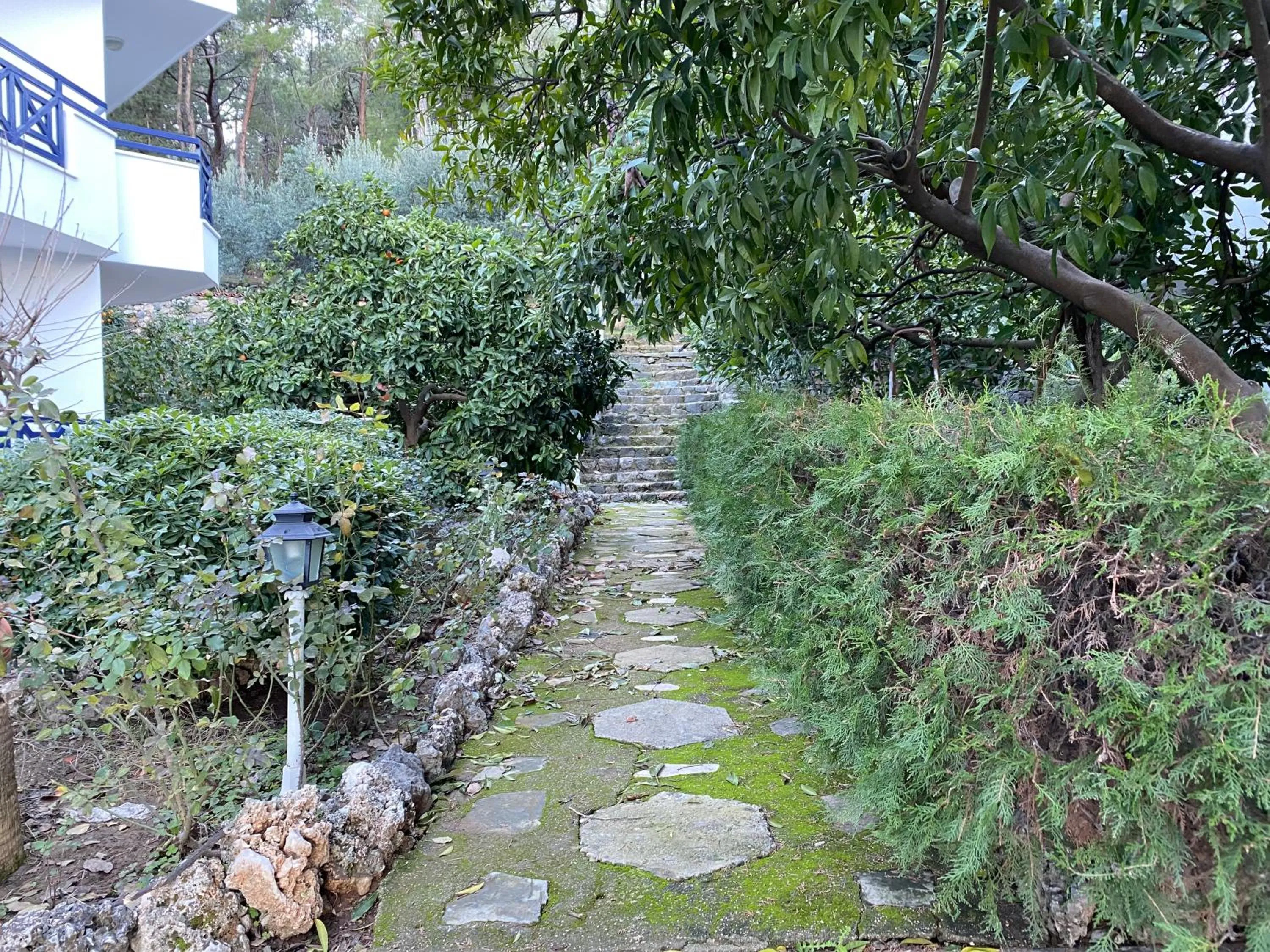 Garden in NATURELLA APART HOTEL