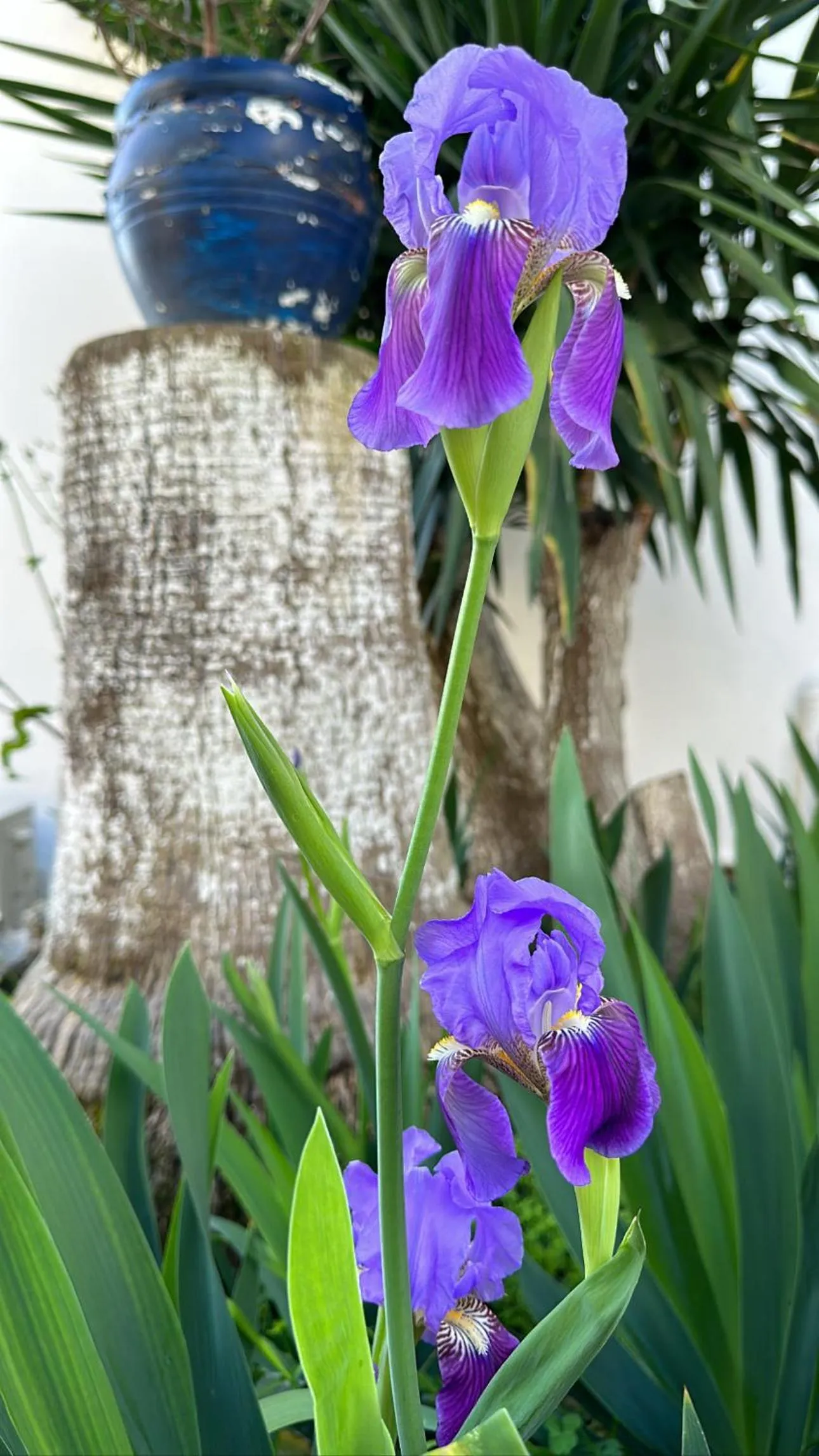 Spring in NATURELLA APART HOTEL