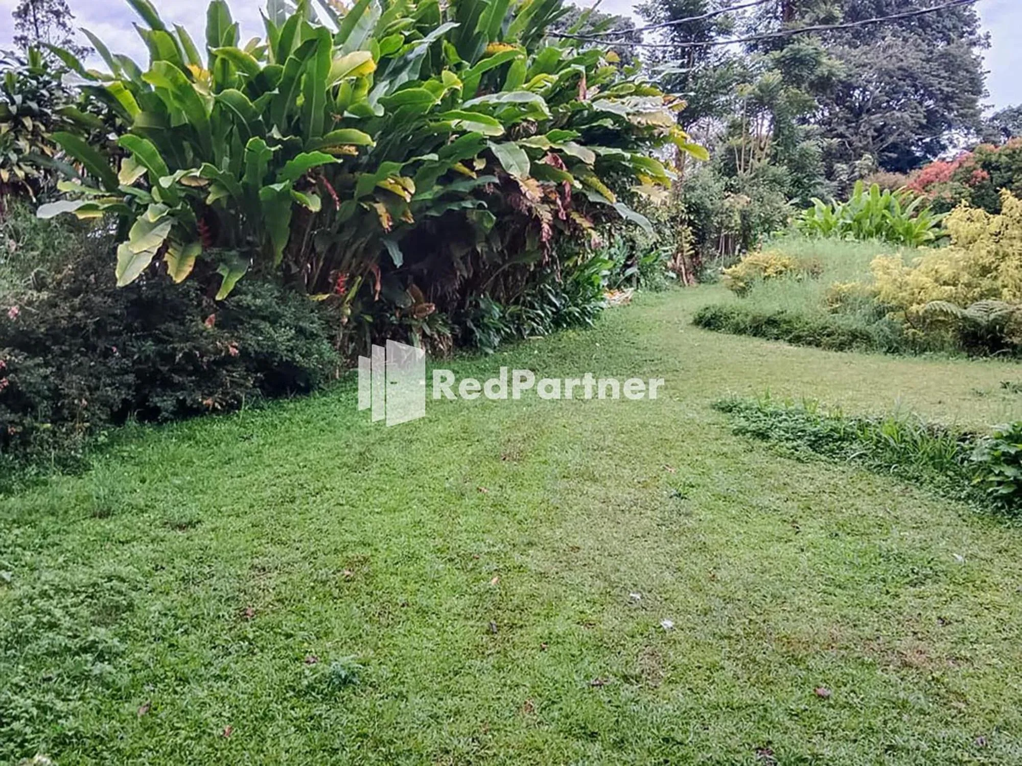 Garden in Kampung Resort Pertiwi RedPartner