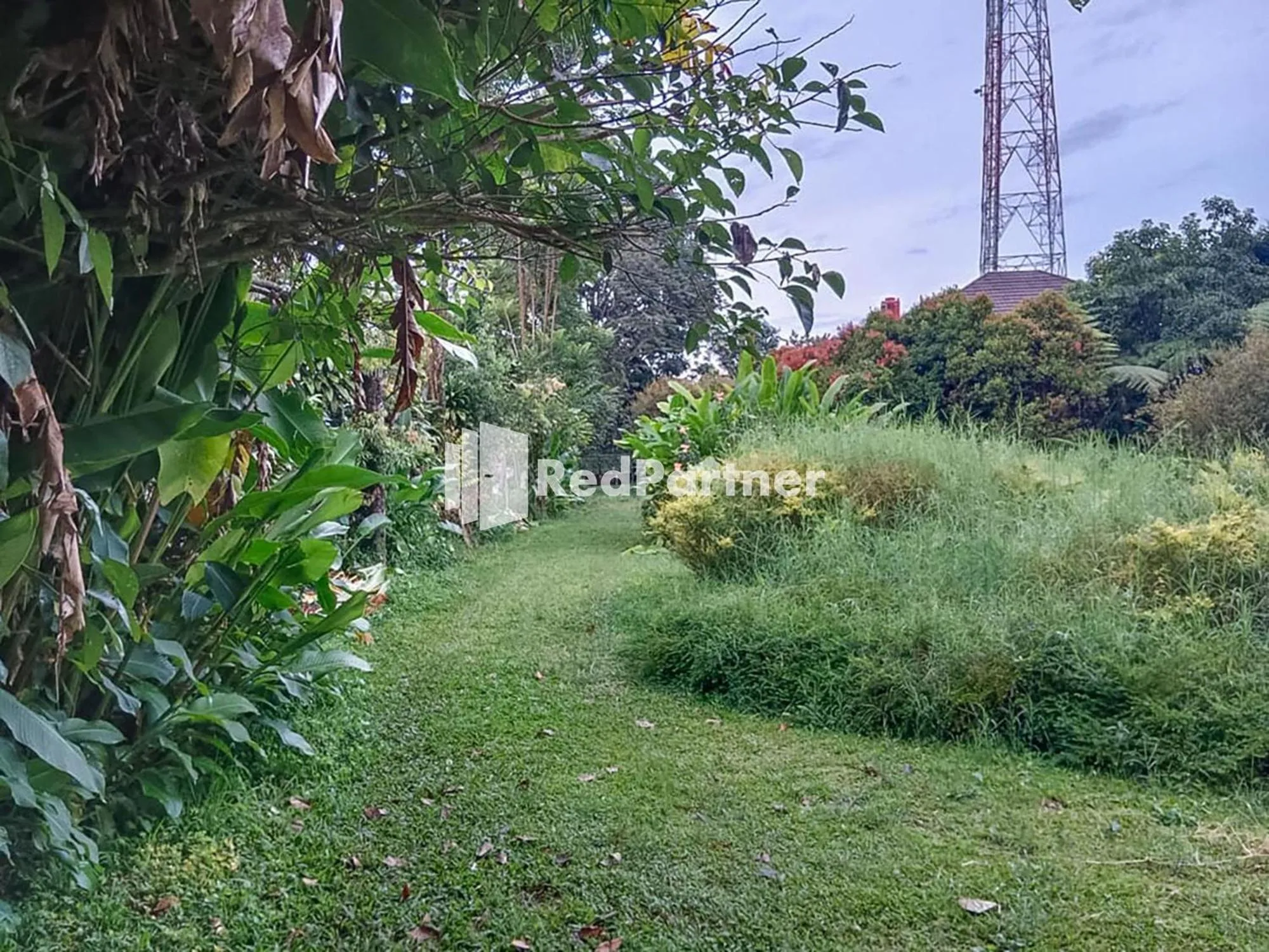 Natural landscape in Kampung Resort Pertiwi RedPartner