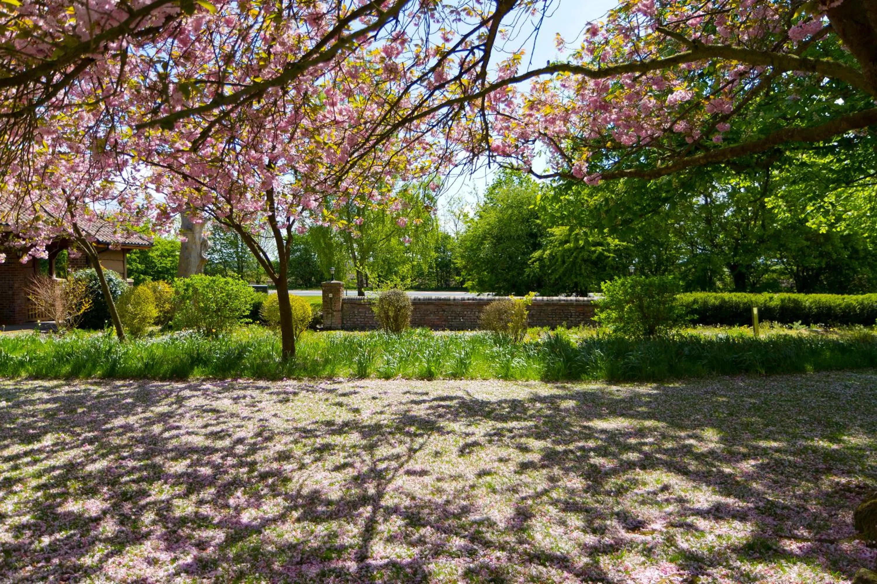 Day in Tickton Grange Hotel