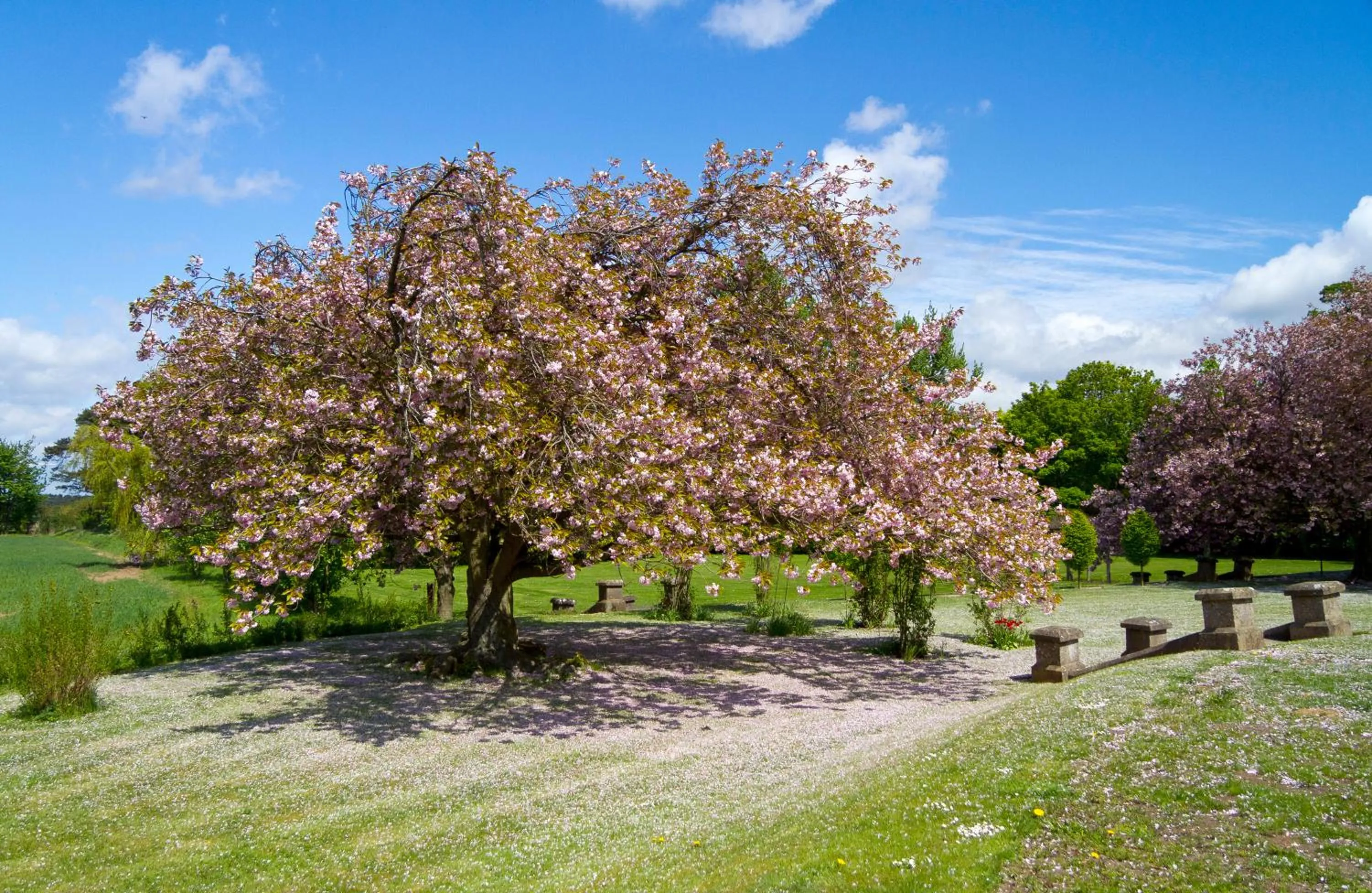 Day in Tickton Grange Hotel