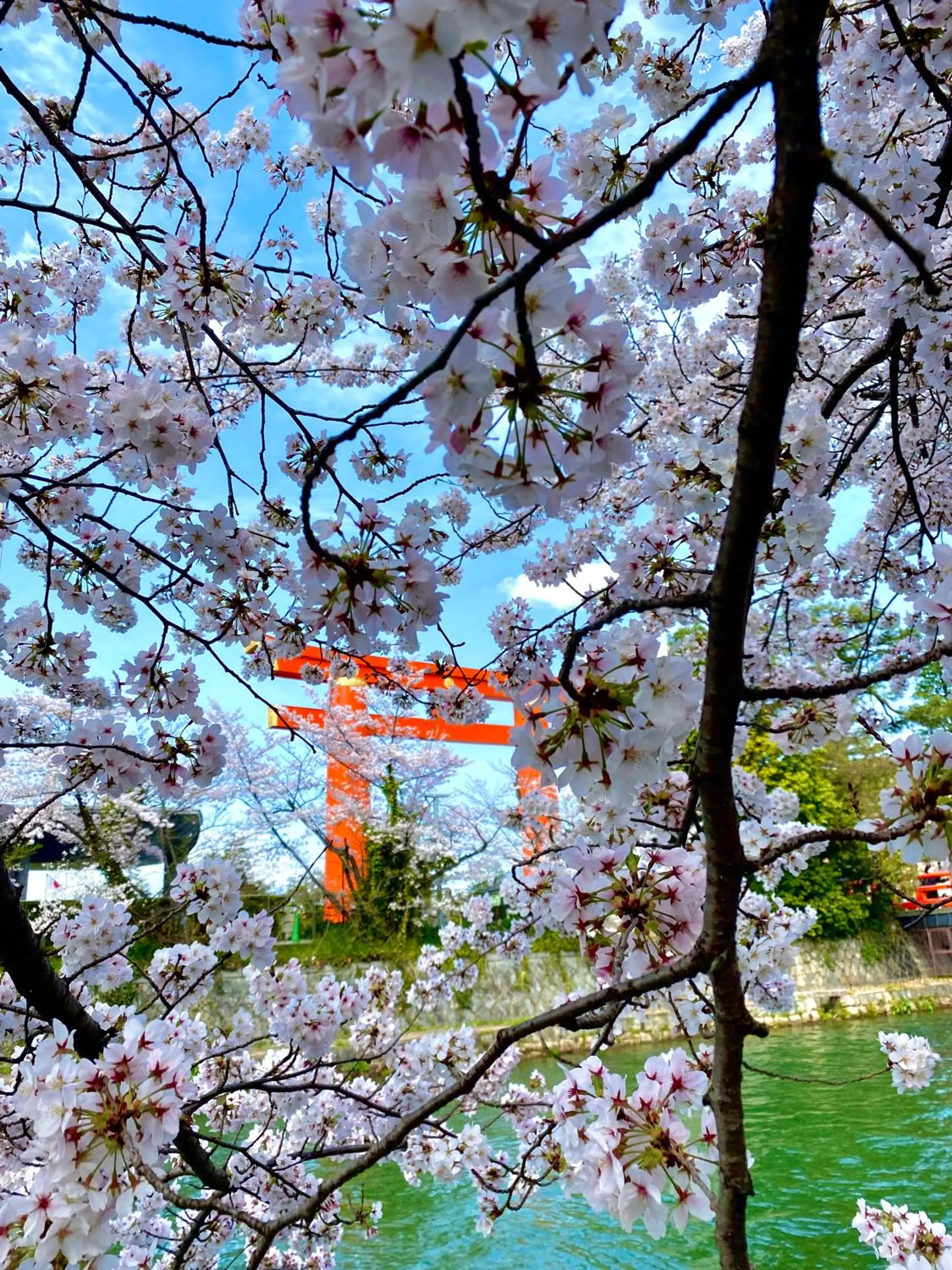 Nearby landmark in Hotel Legasta Kyoto Higashiyama Sanjo