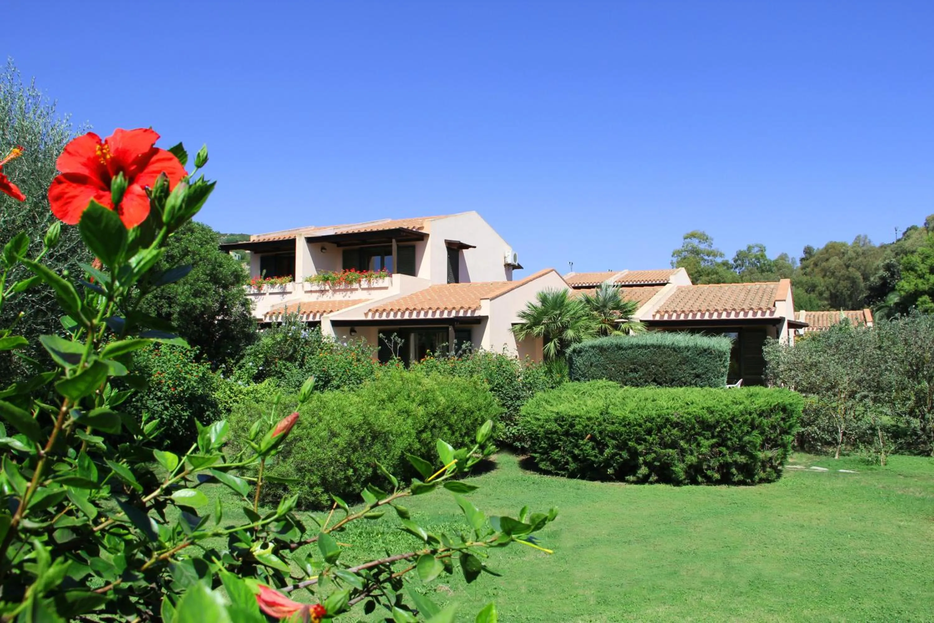 Garden in Albaruja Hotel