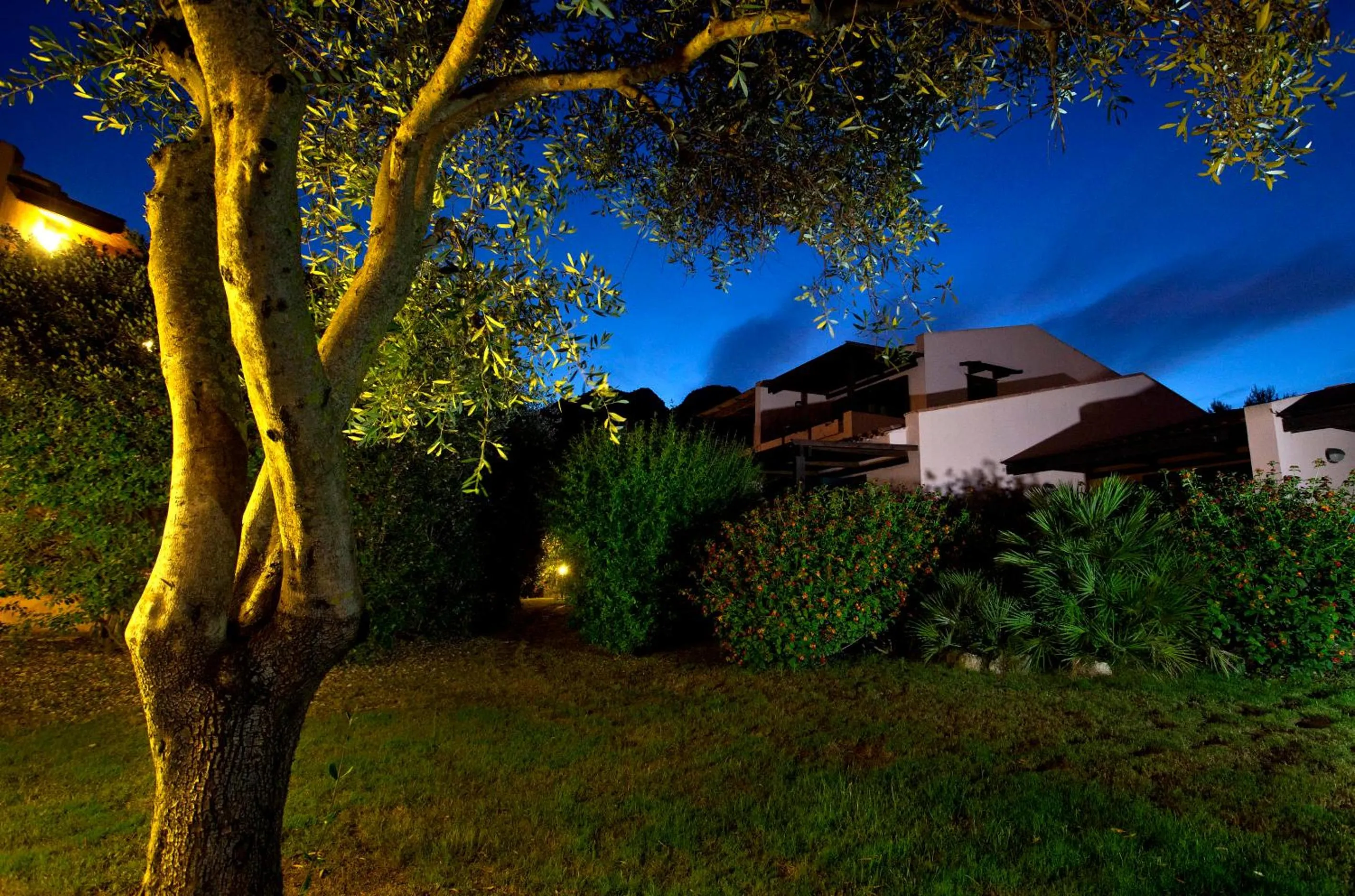 Garden in Albaruja Hotel