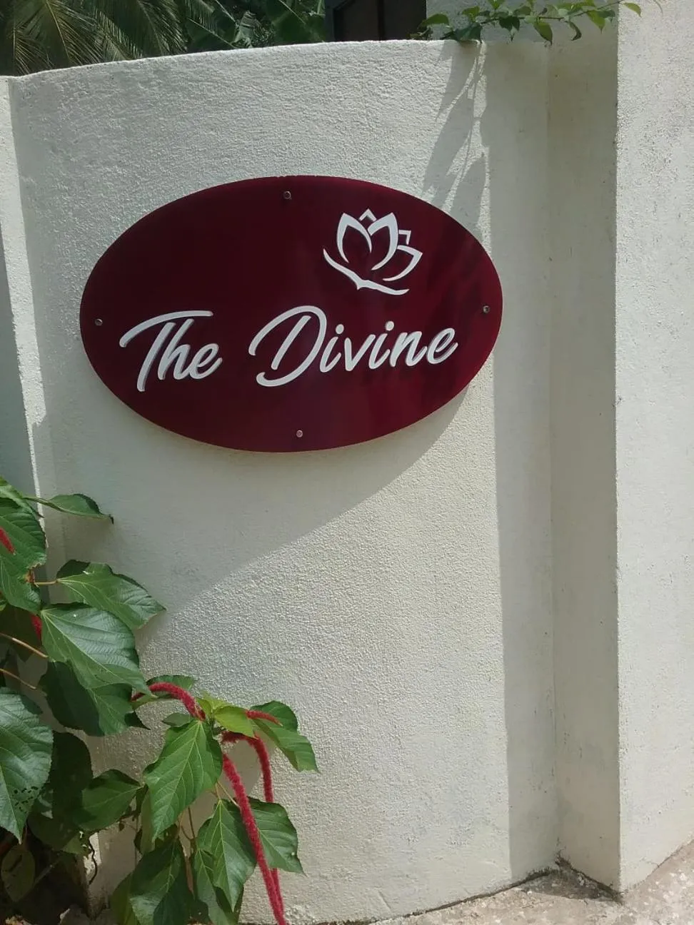 Property logo or sign in The Divine Villa