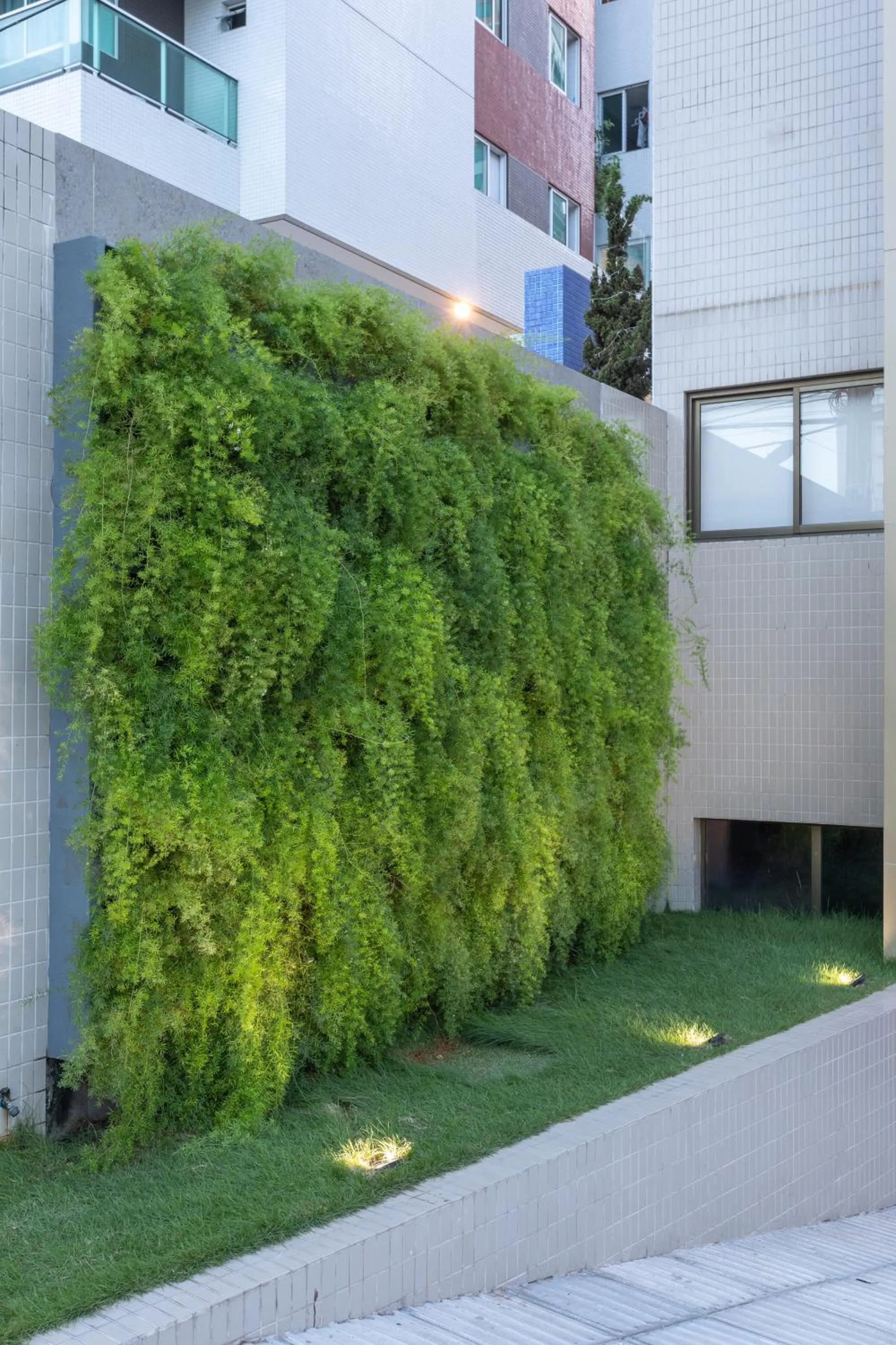 Garden in Hotel Annamar Premium