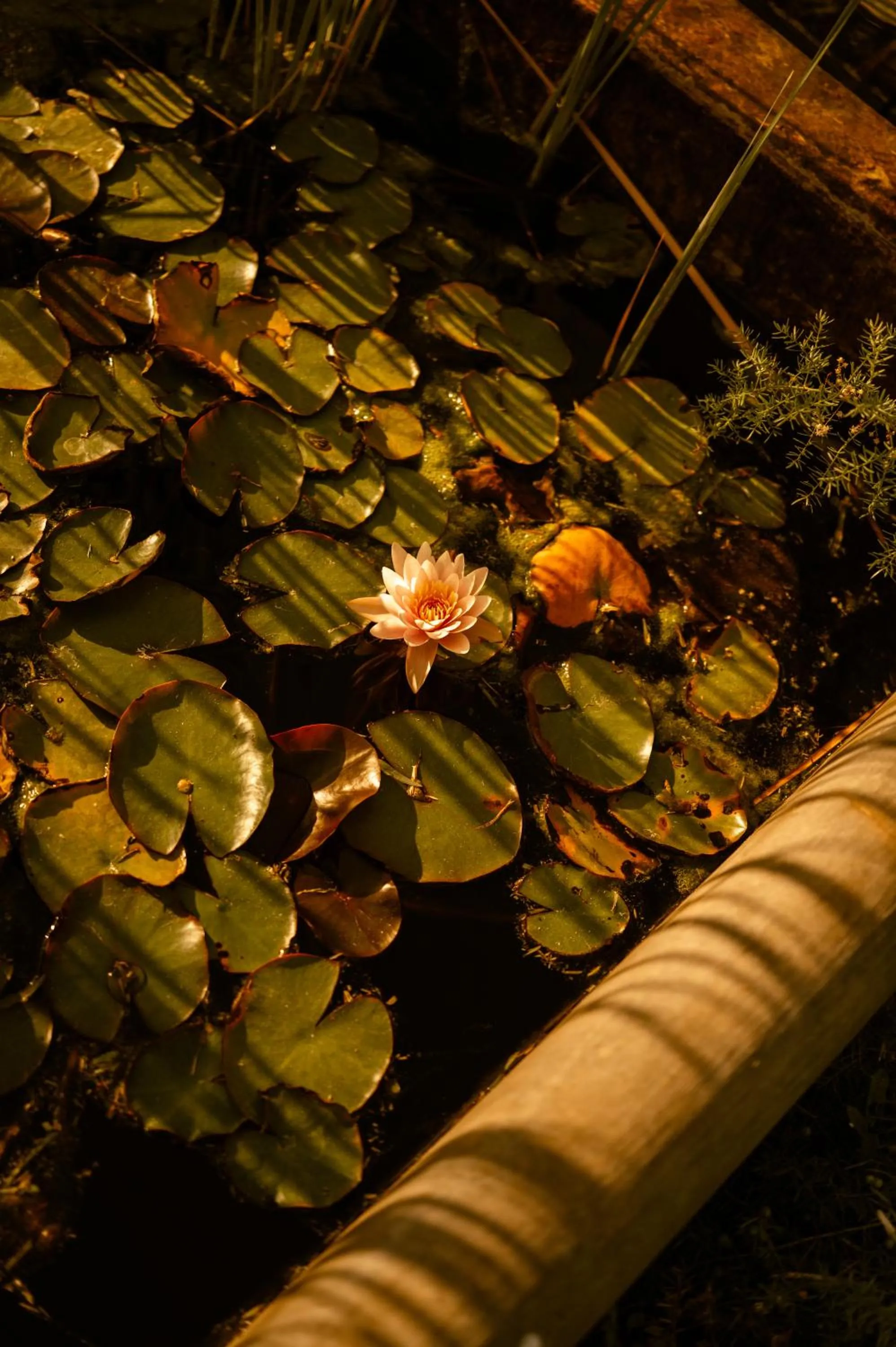 Villa Favorita Hotel & Events