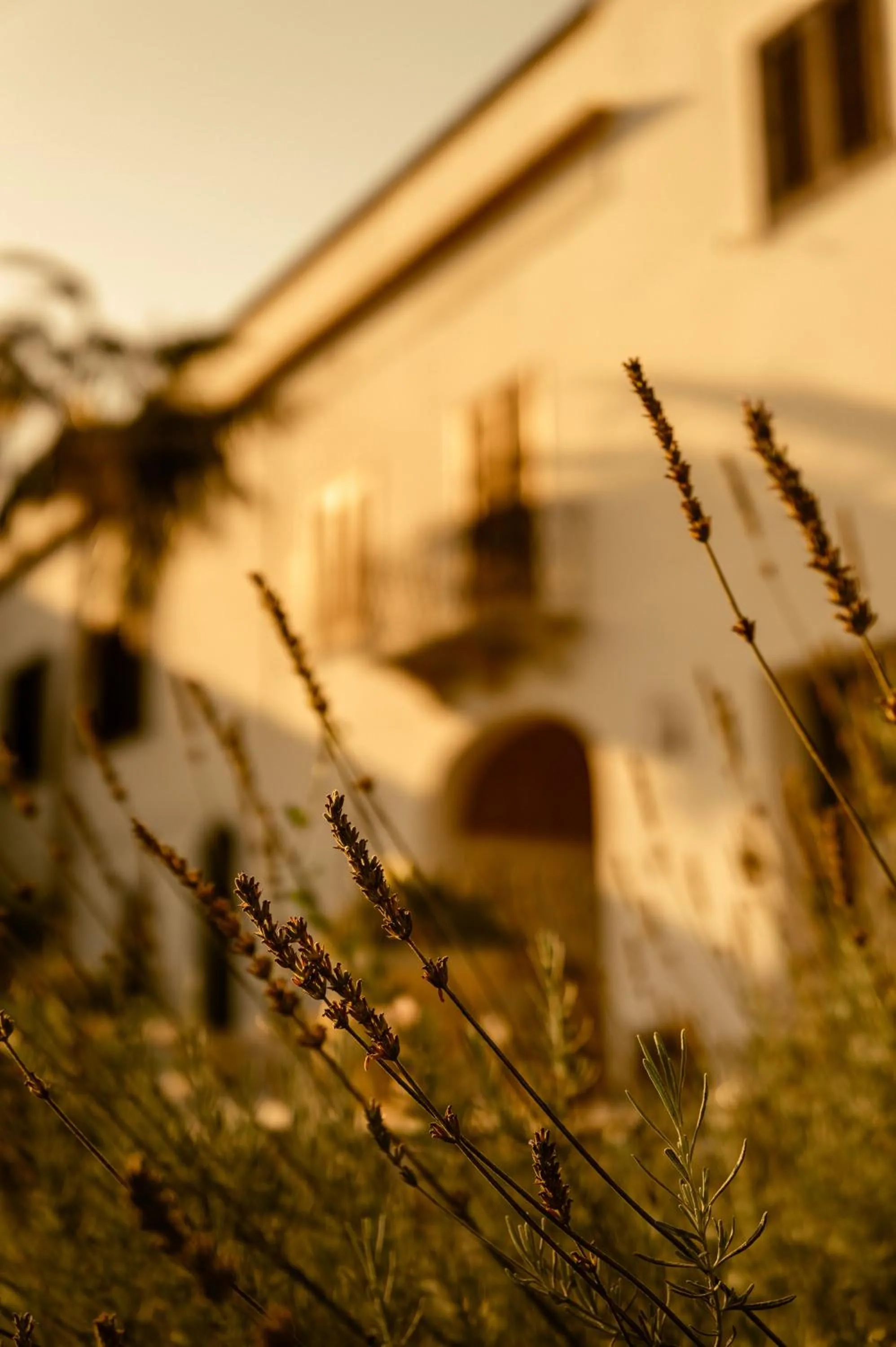 Villa Favorita Hotel & Events