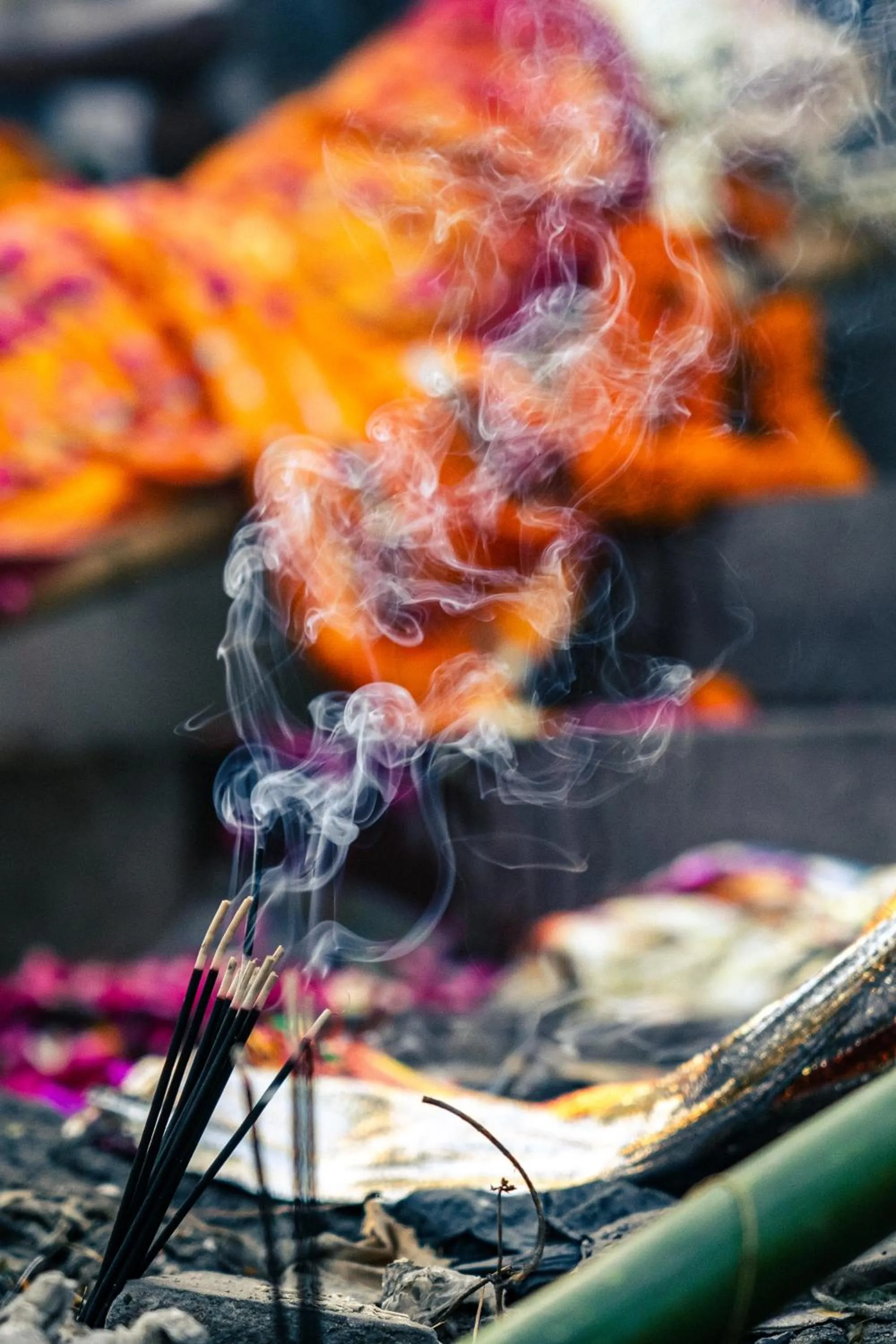 Activities in Poshtel VNS