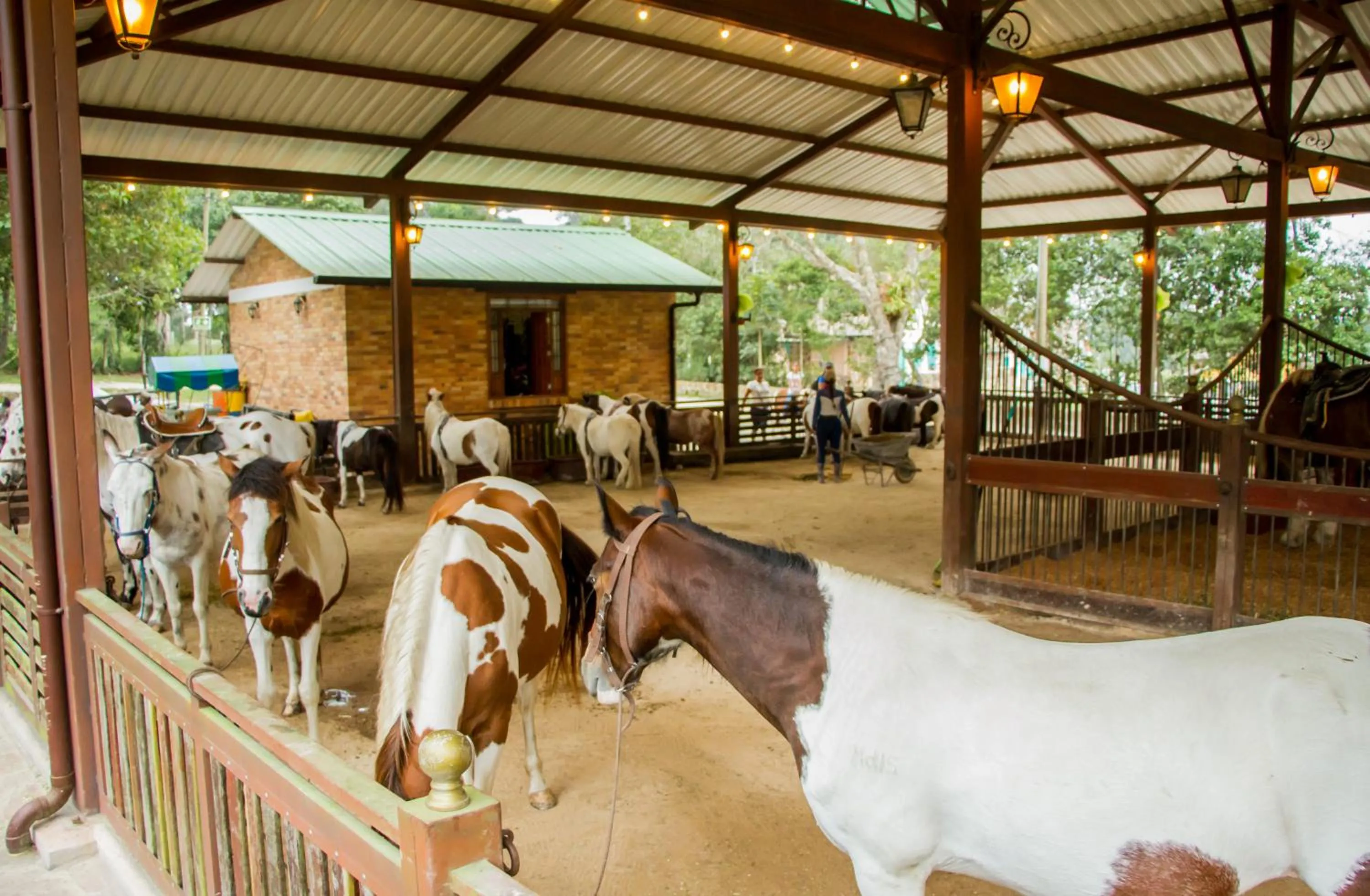 Animals in Hotel Mesa De Los Santos