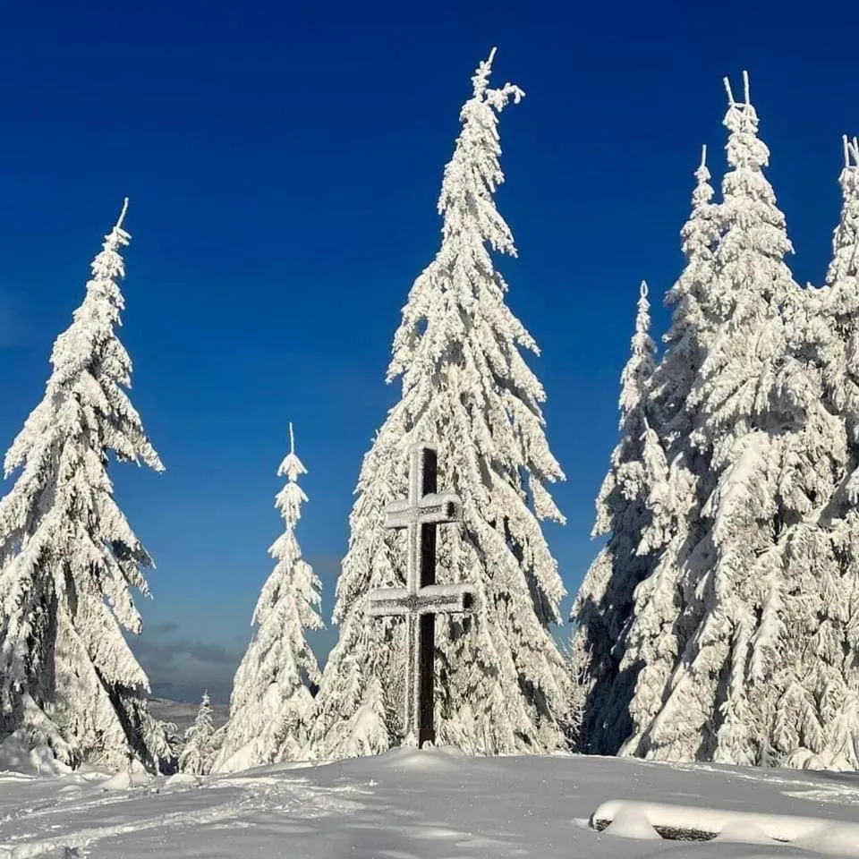 Horský Hotel Podjavorník