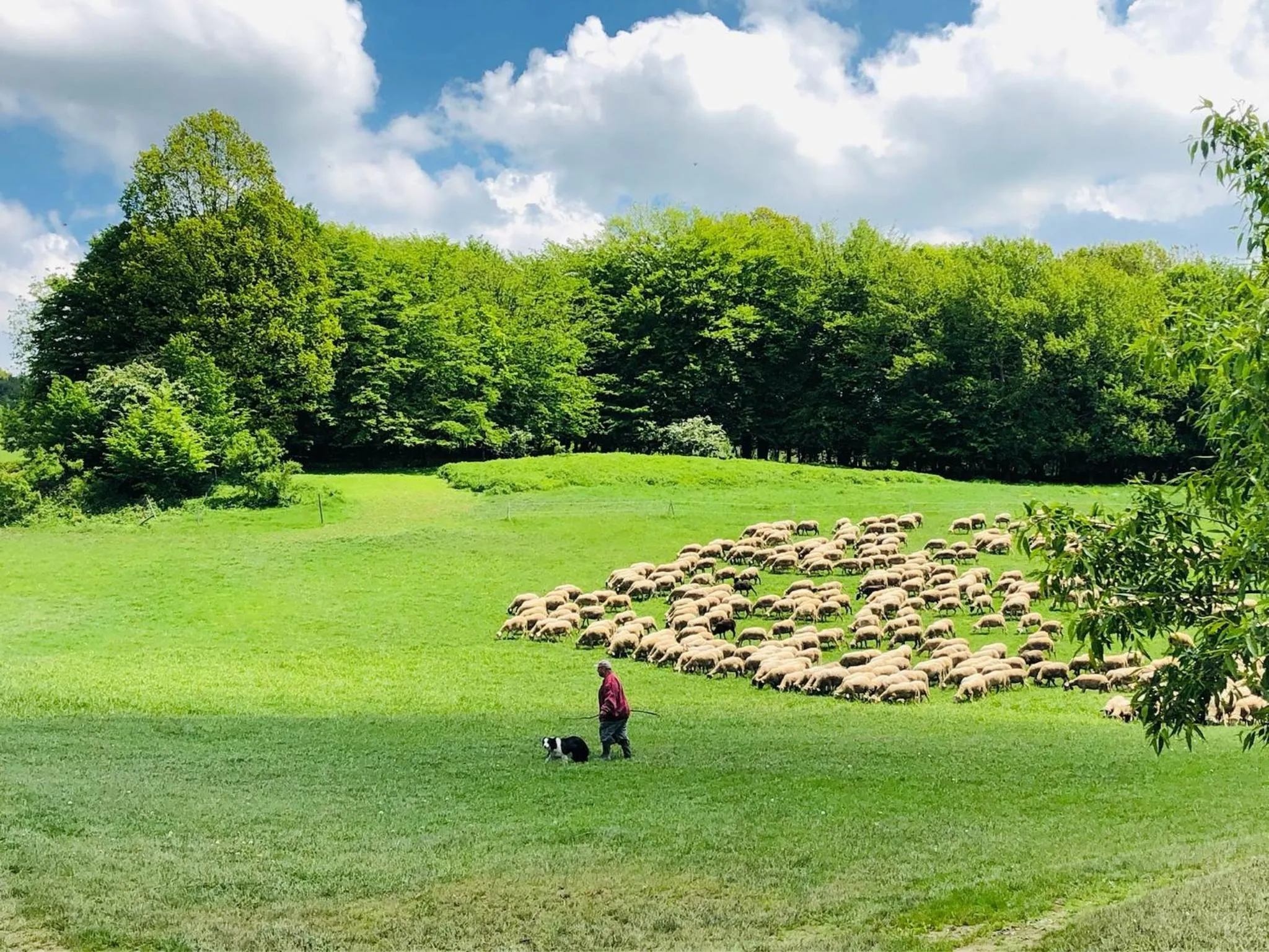 Nearby landmark in Horský Hotel Podjavorník