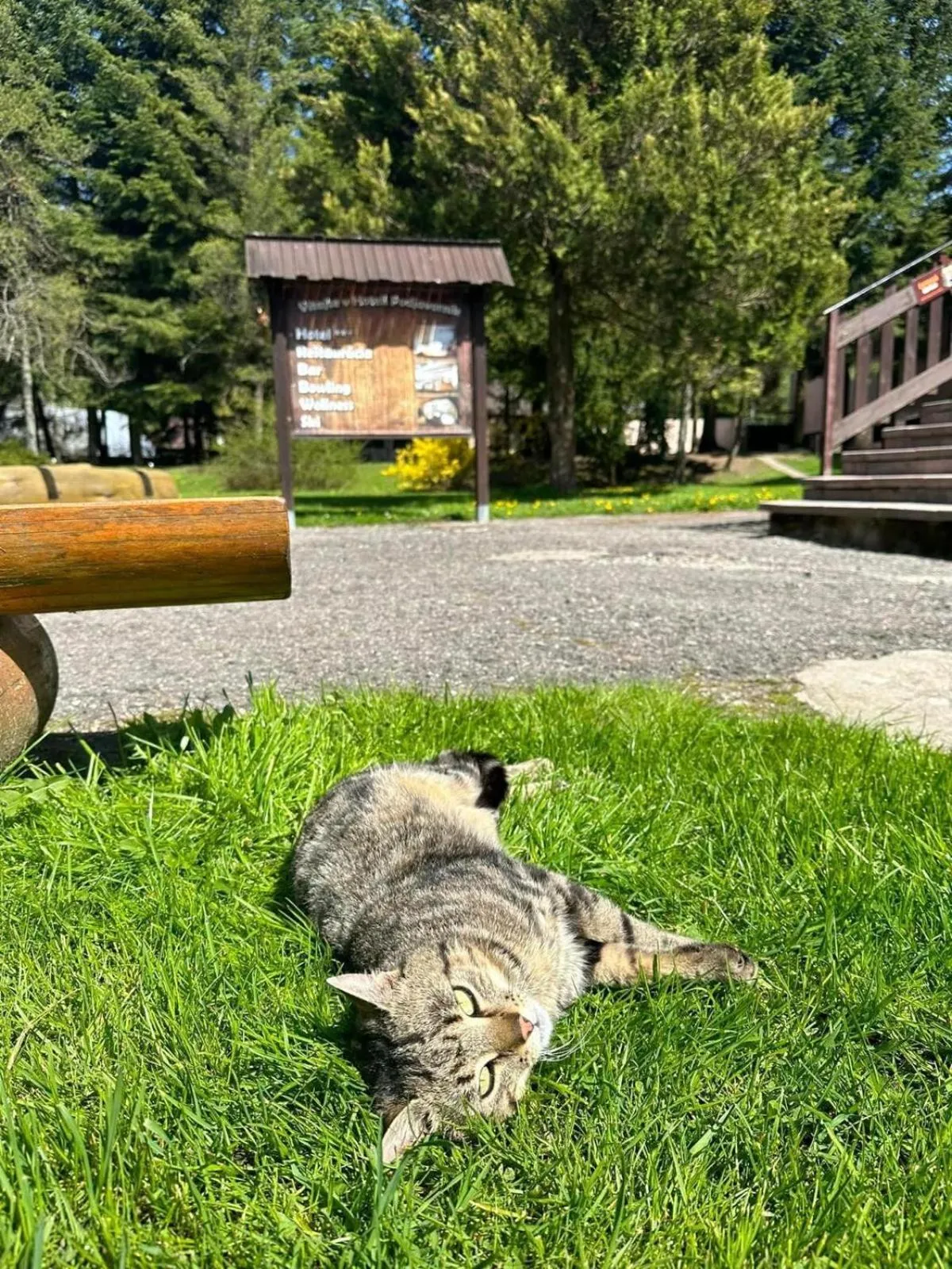 Horský Hotel Podjavorník