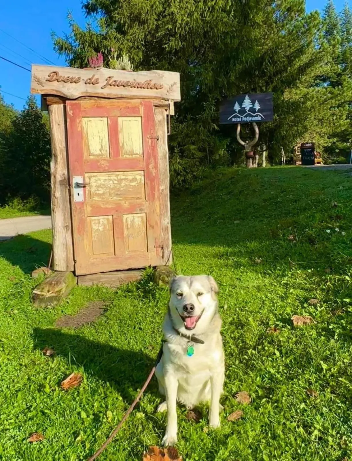 Horský Hotel Podjavorník