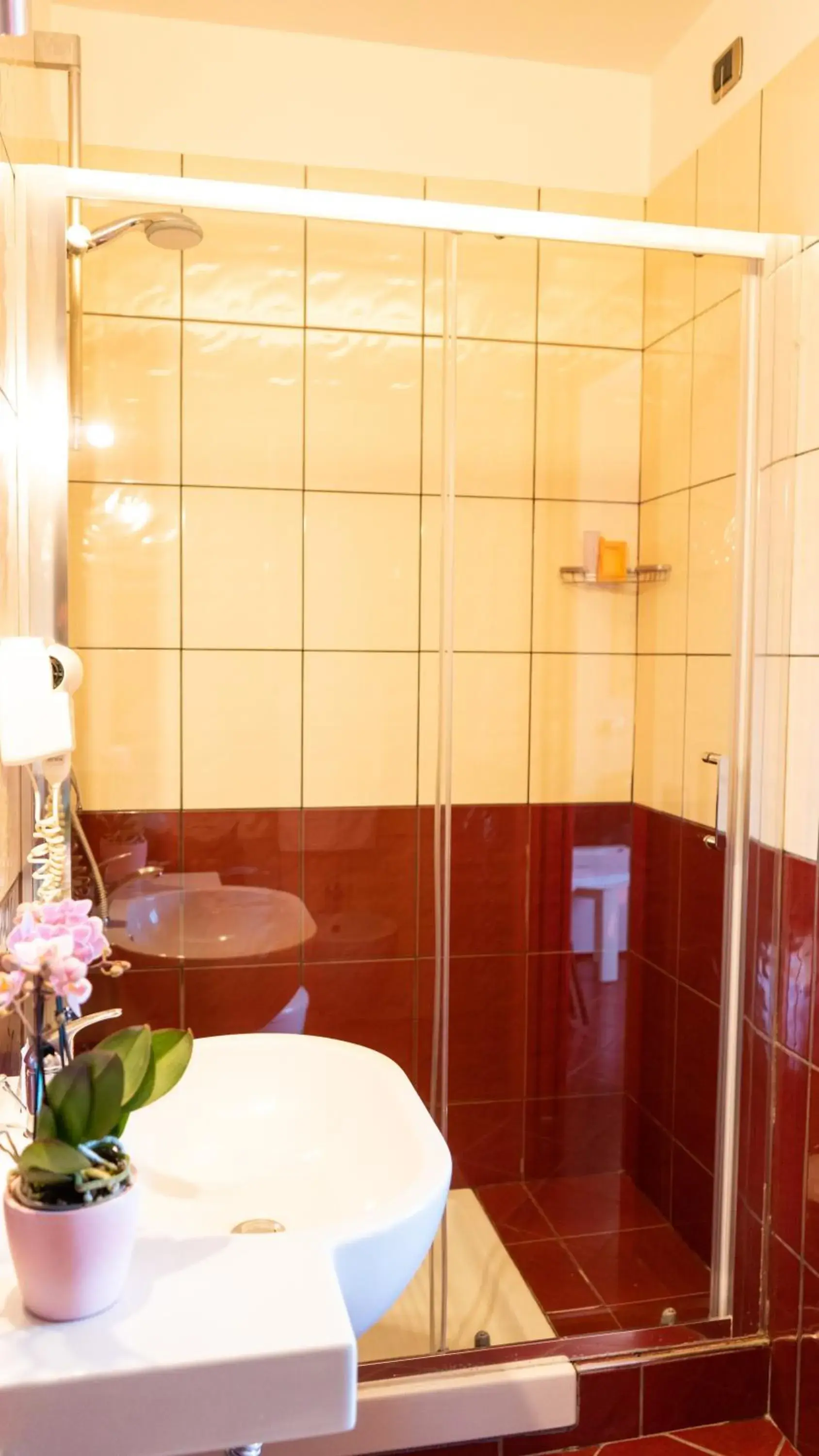 Single Room in Hotel Diana Single Room in Hotel Diana